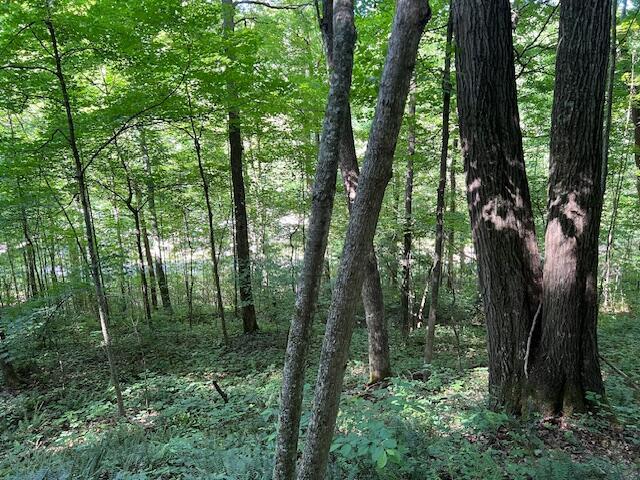 23769 State Route 327 Property Photo 25