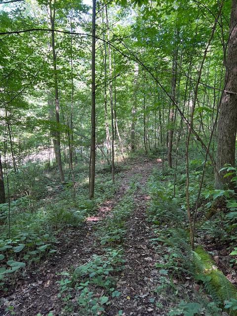 23769 State Route 327 Property Photo 26