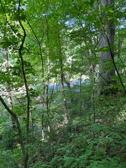 23769 State Route 327 Property Photo 27