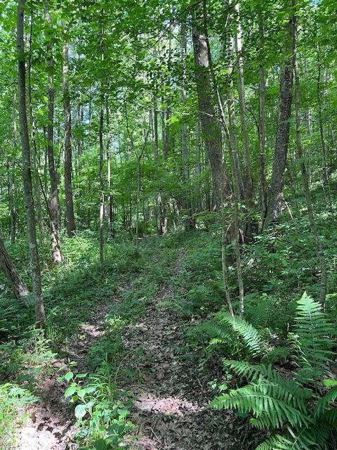 23769 State Route 327 Property Photo 28