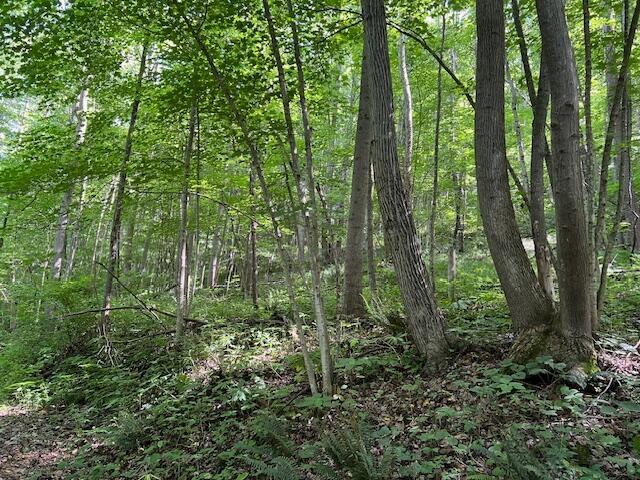 23769 State Route 327 Property Photo 29