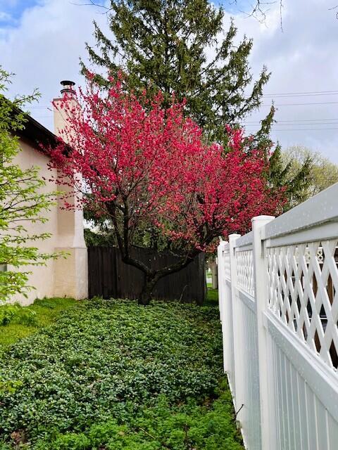 3286 Bridget Drive Property Photo 58