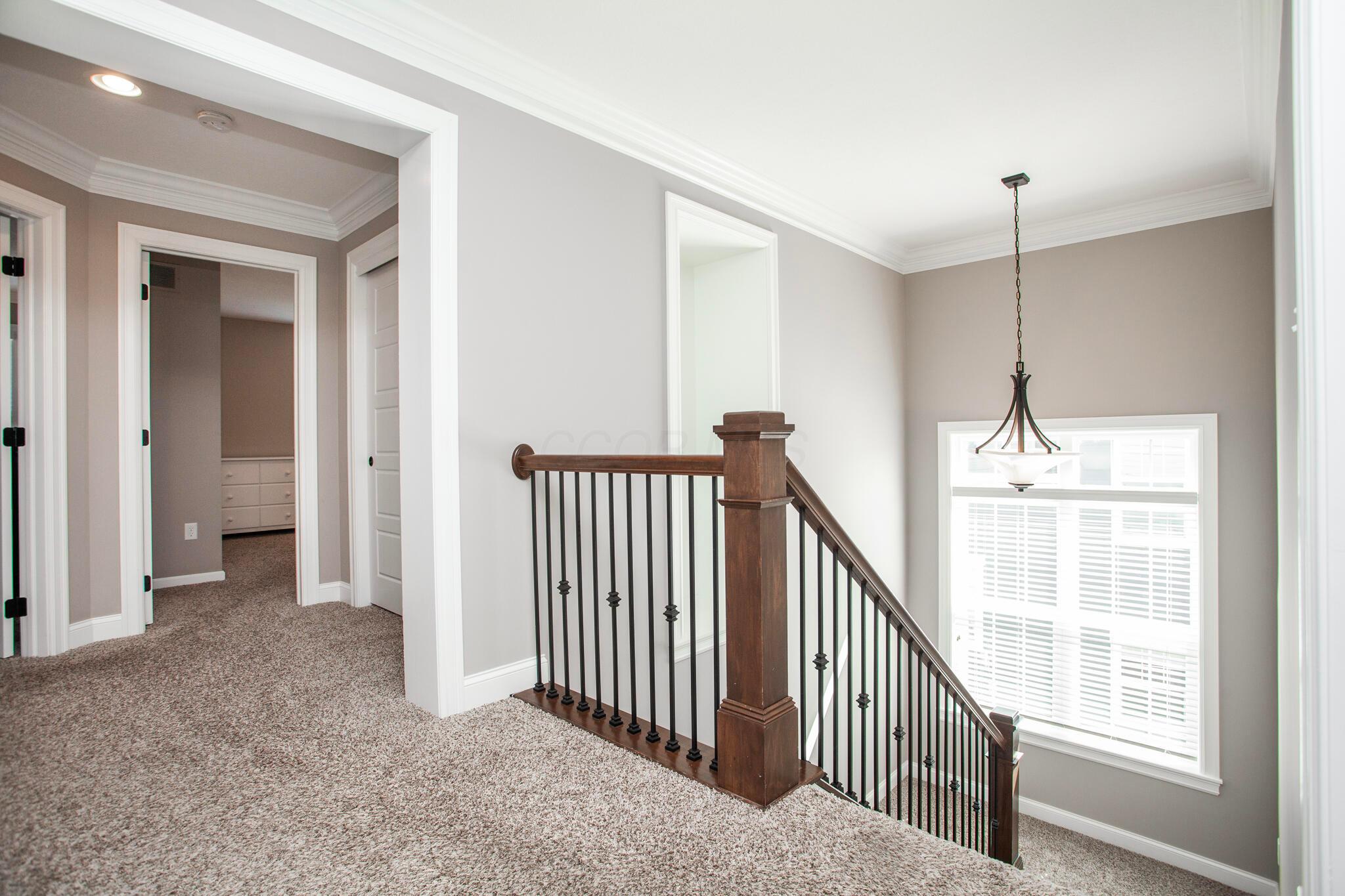10652 Arrowwood Drive Property Photo 37