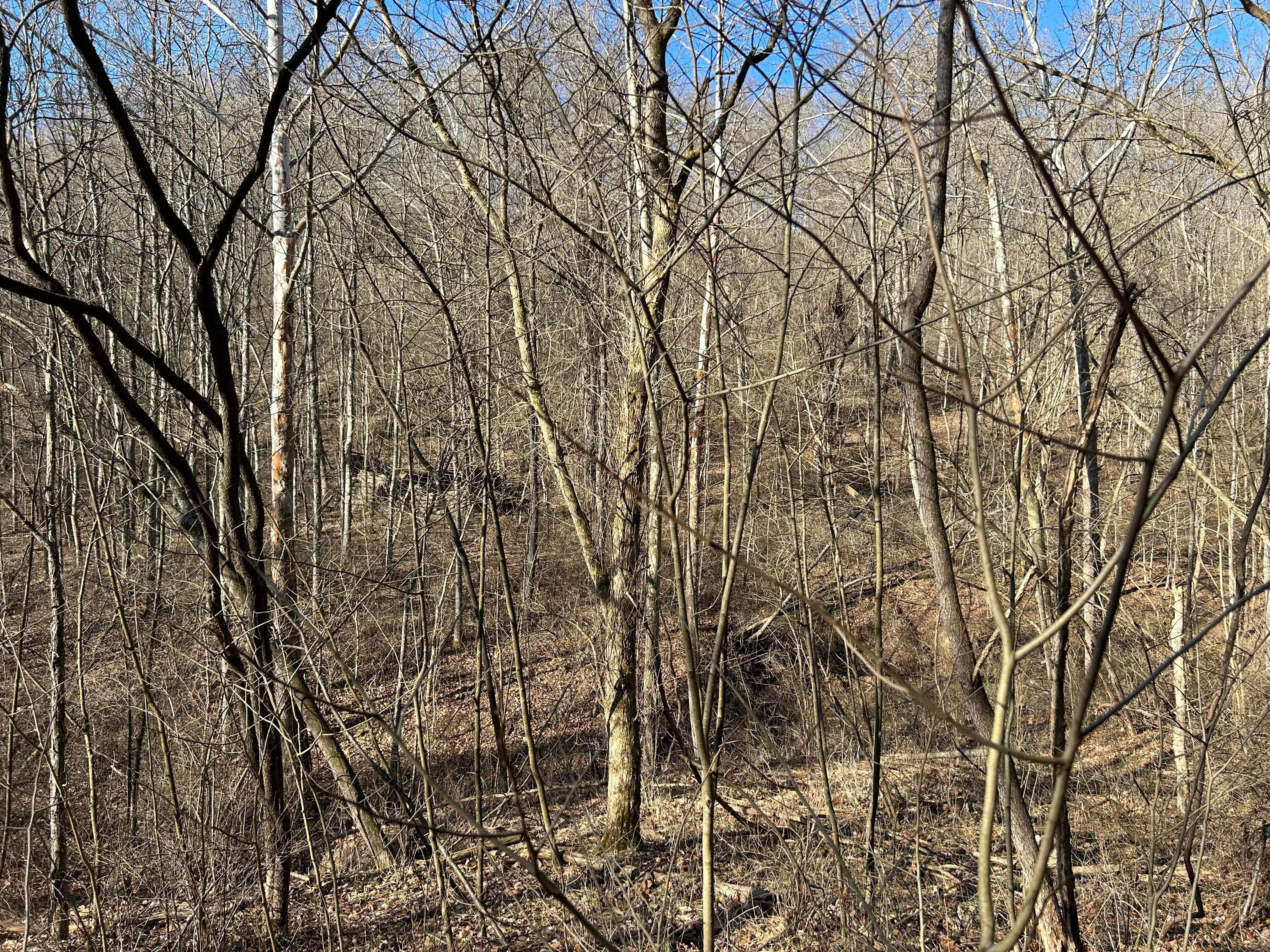 0 Oh-550 Property Photo 31