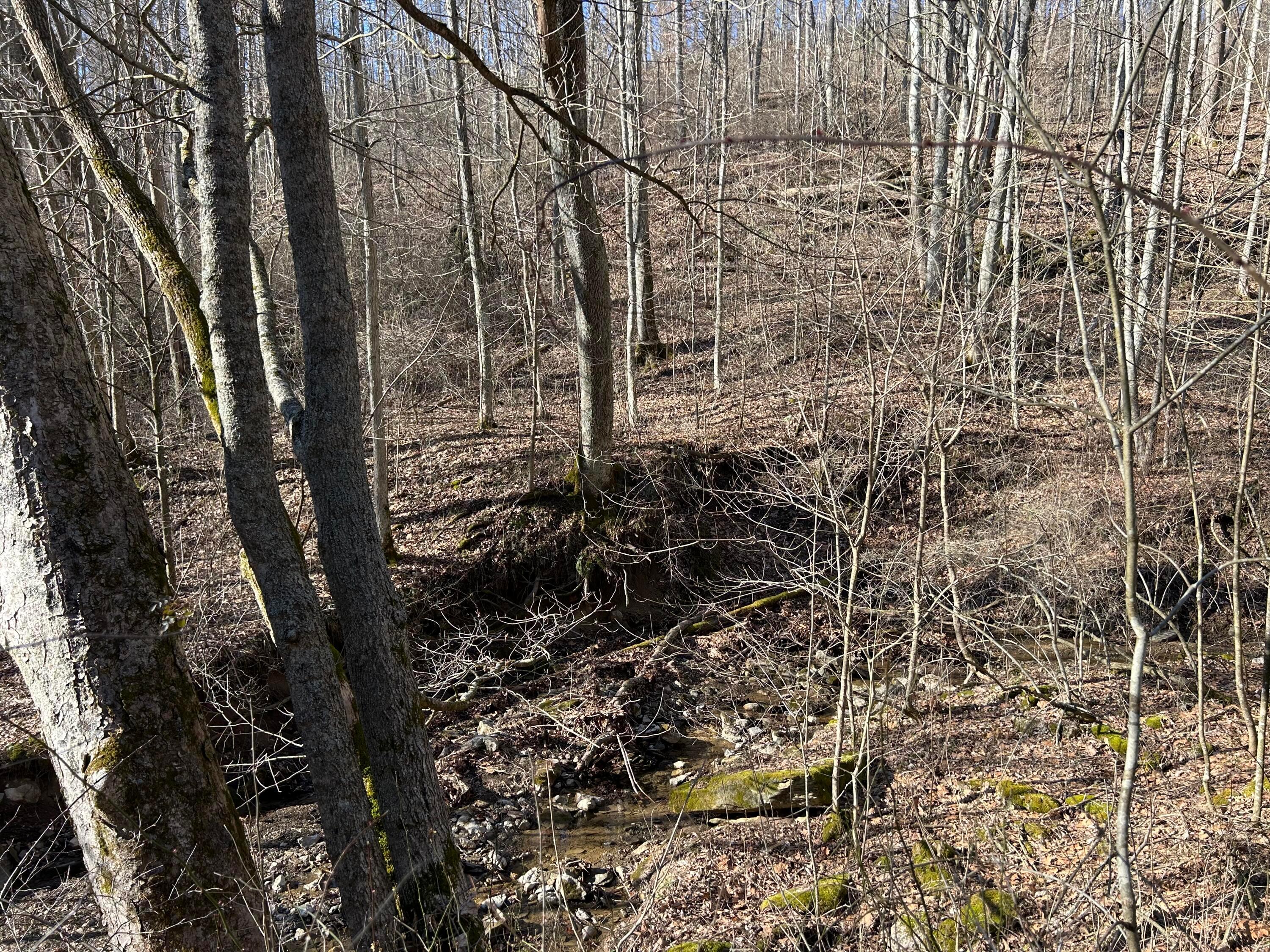 0 Oh-550 Property Photo 34