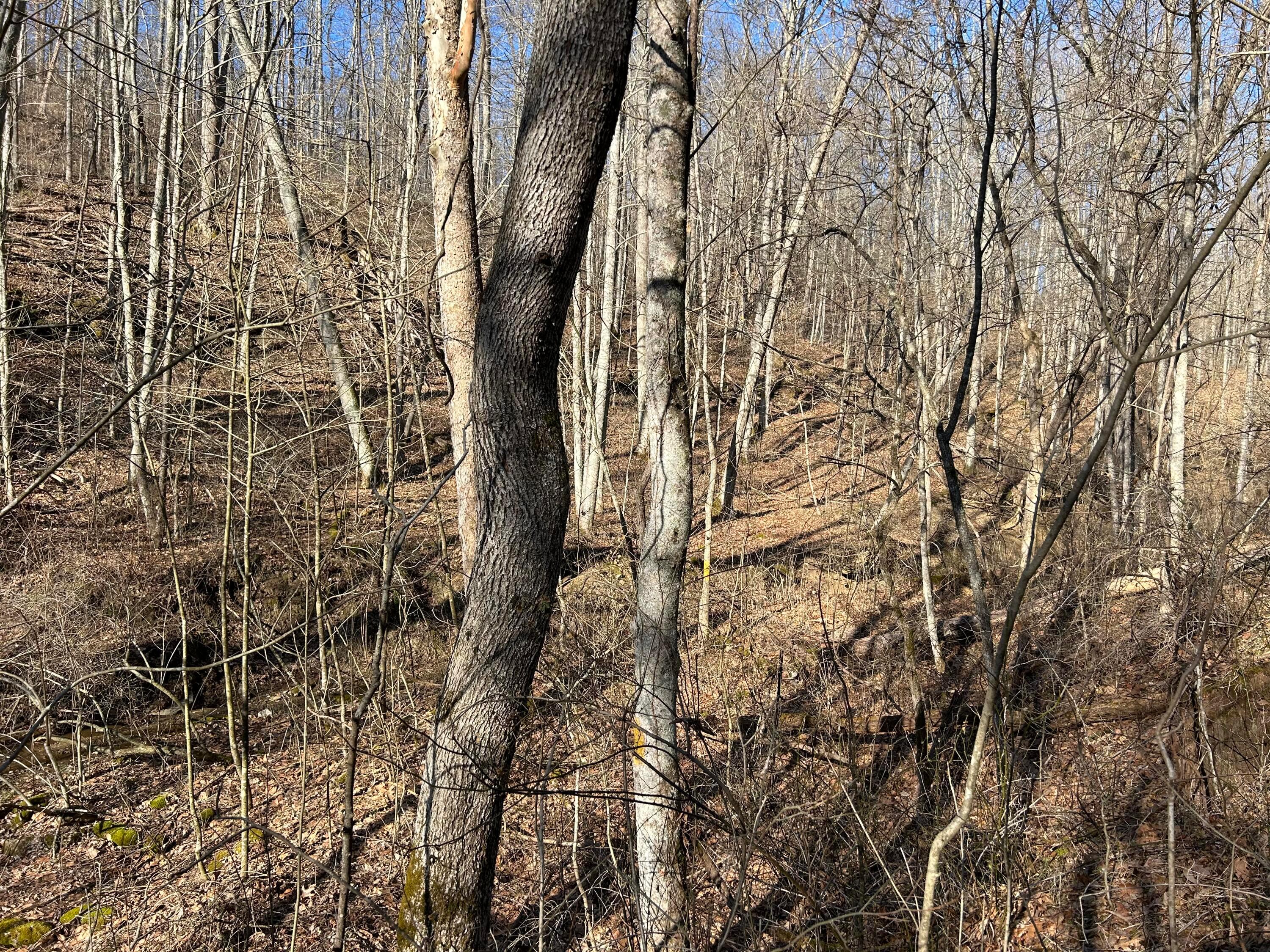 0 Oh-550 Property Photo 35
