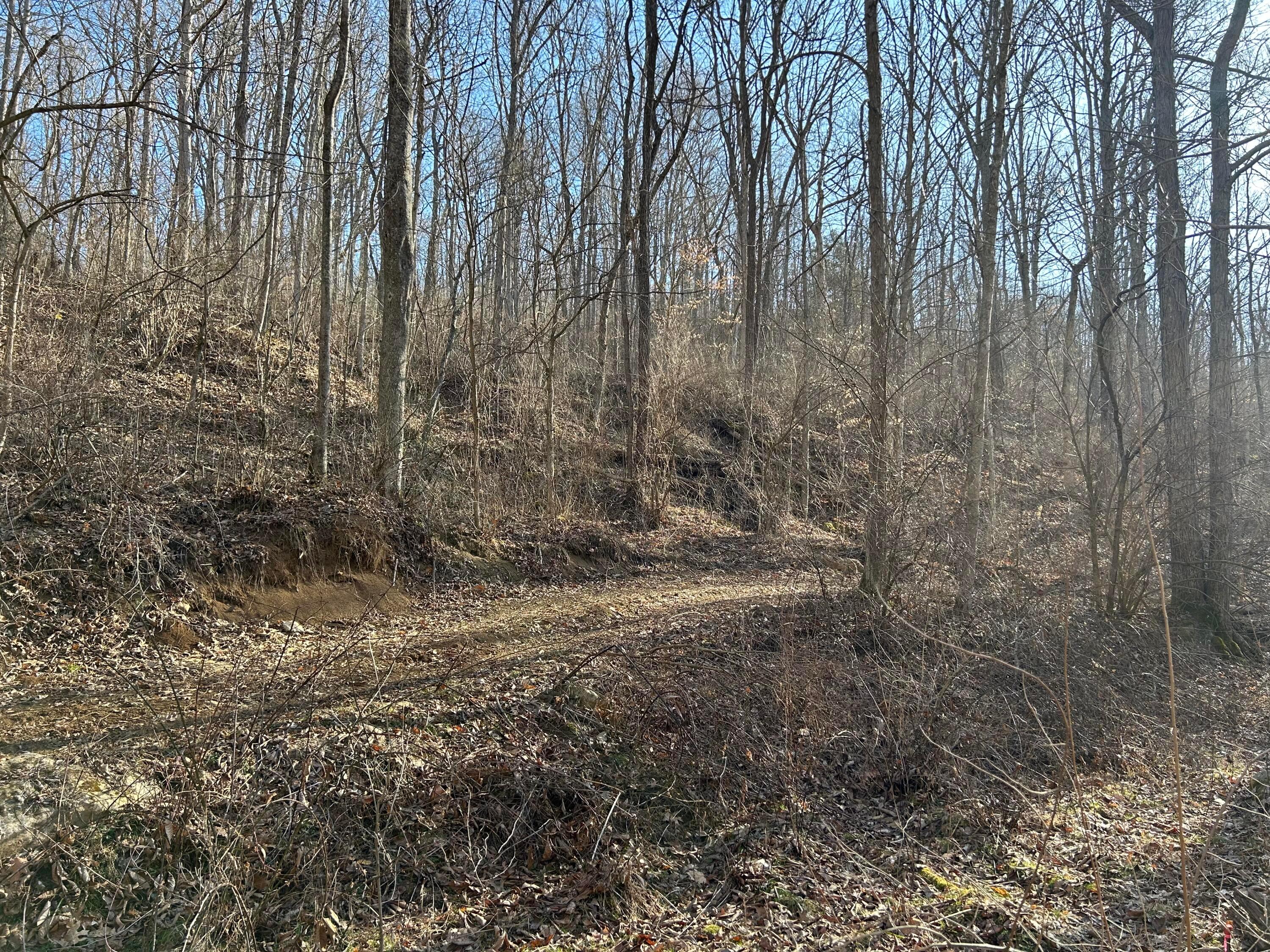 0 Oh-550 Property Photo 36