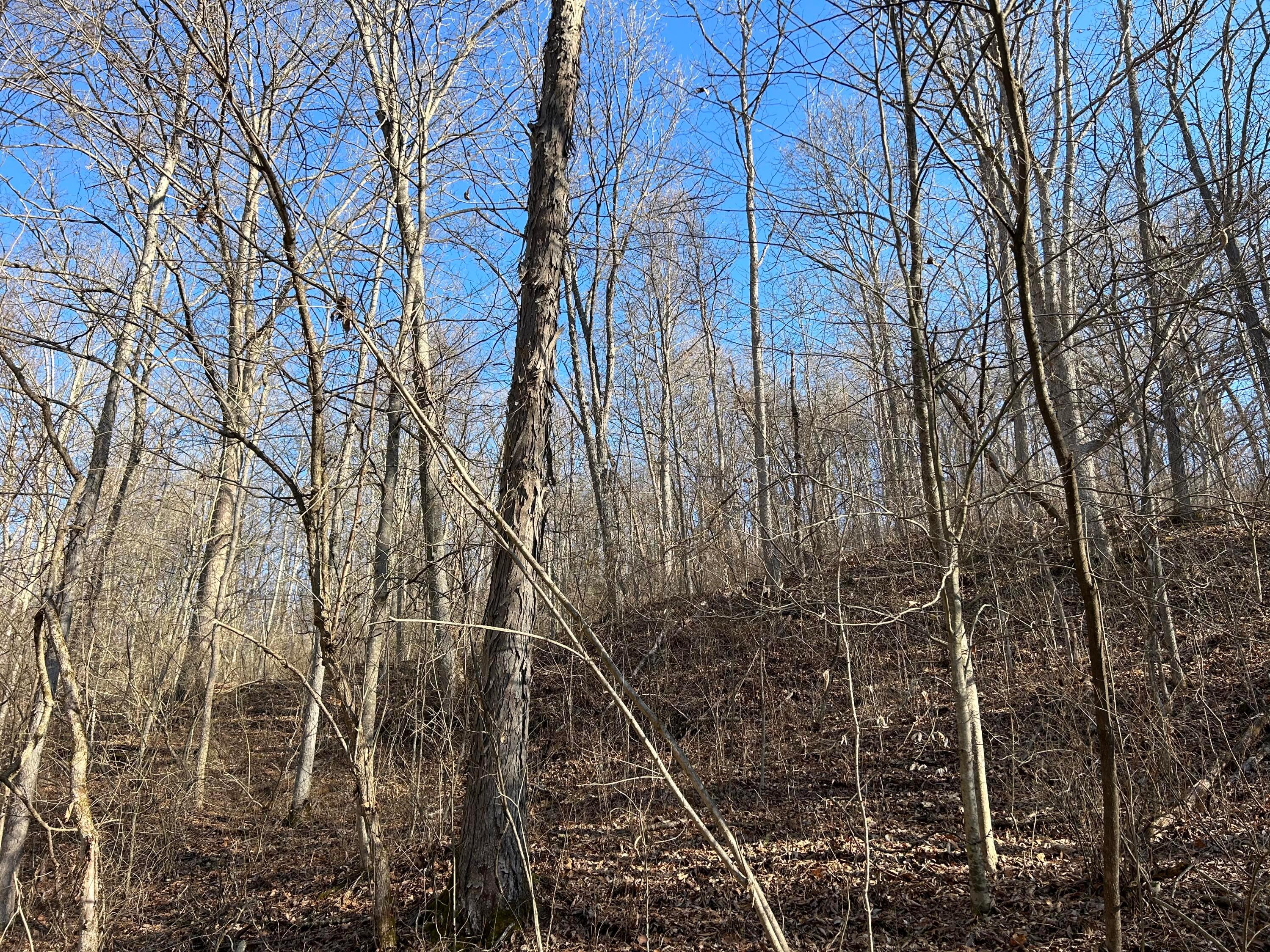 0 Oh-550 Property Photo 38