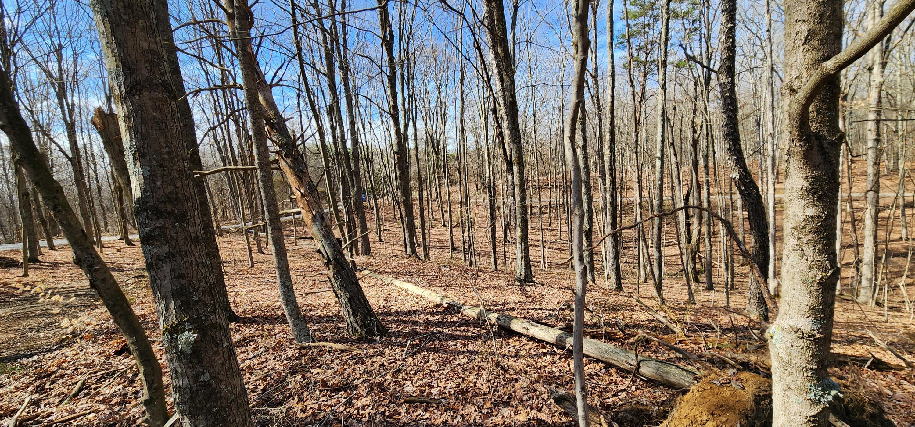 0 Edmunson Road, (tract 6 At Big Timber) Property Photo