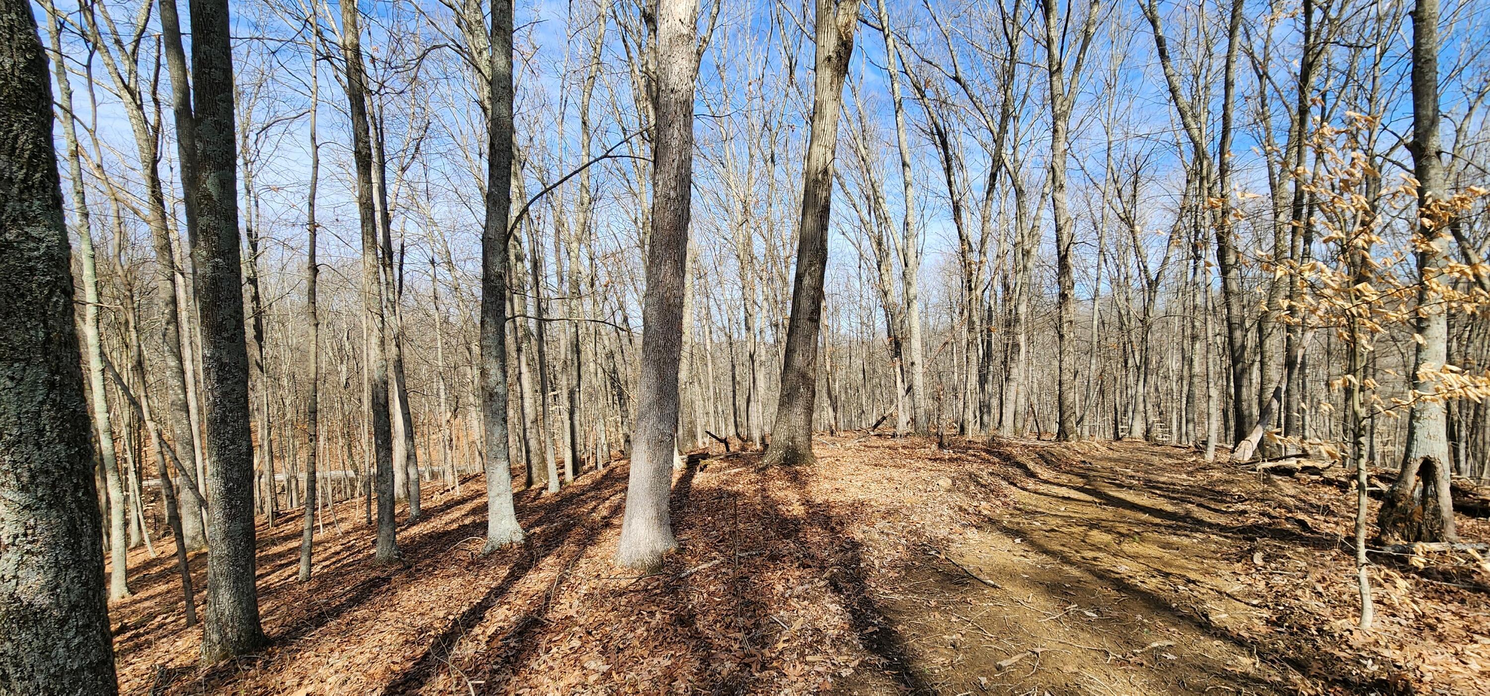 0 Edmunson Road, (tract 6 At Big Timber) Property Photo 2