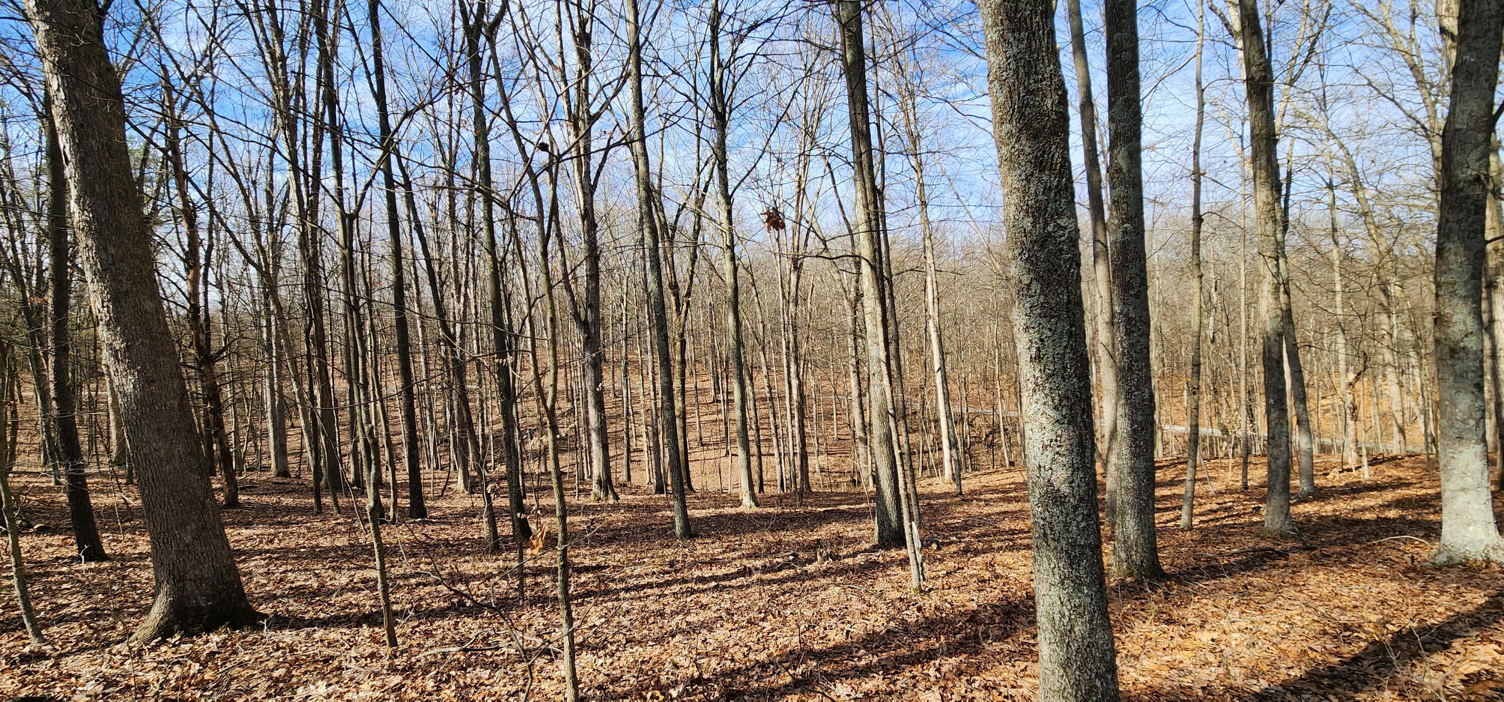 0 Edmunson Road, (tract 6 At Big Timber) Property Photo 3