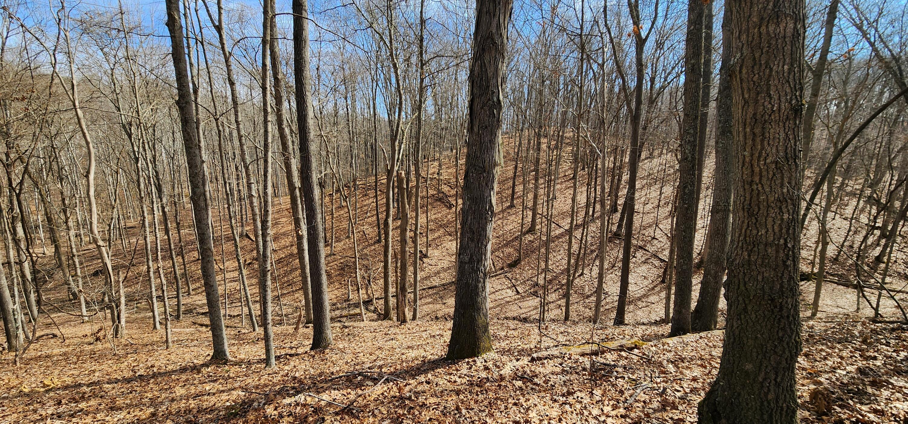 0 Edmunson Road, (tract 6 At Big Timber) Property Photo 4