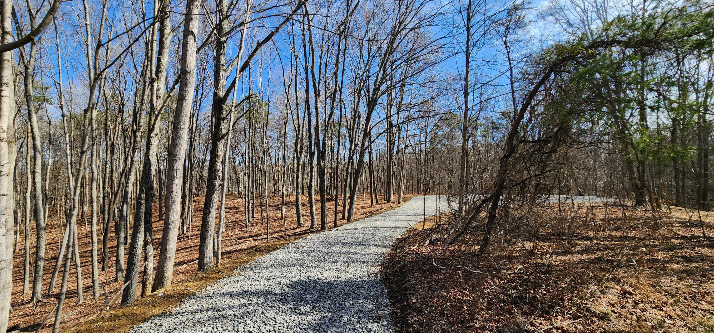 0 Edmunson Road, (tract 6 At Big Timber) Property Photo 6