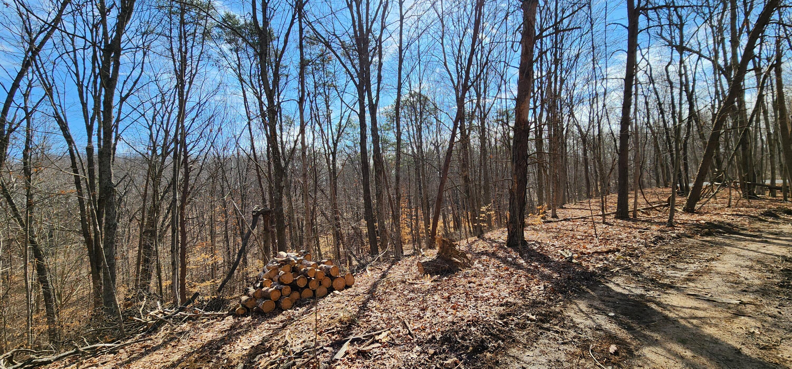 0 Edmunson Road, (tract 6 At Big Timber) Property Photo 8
