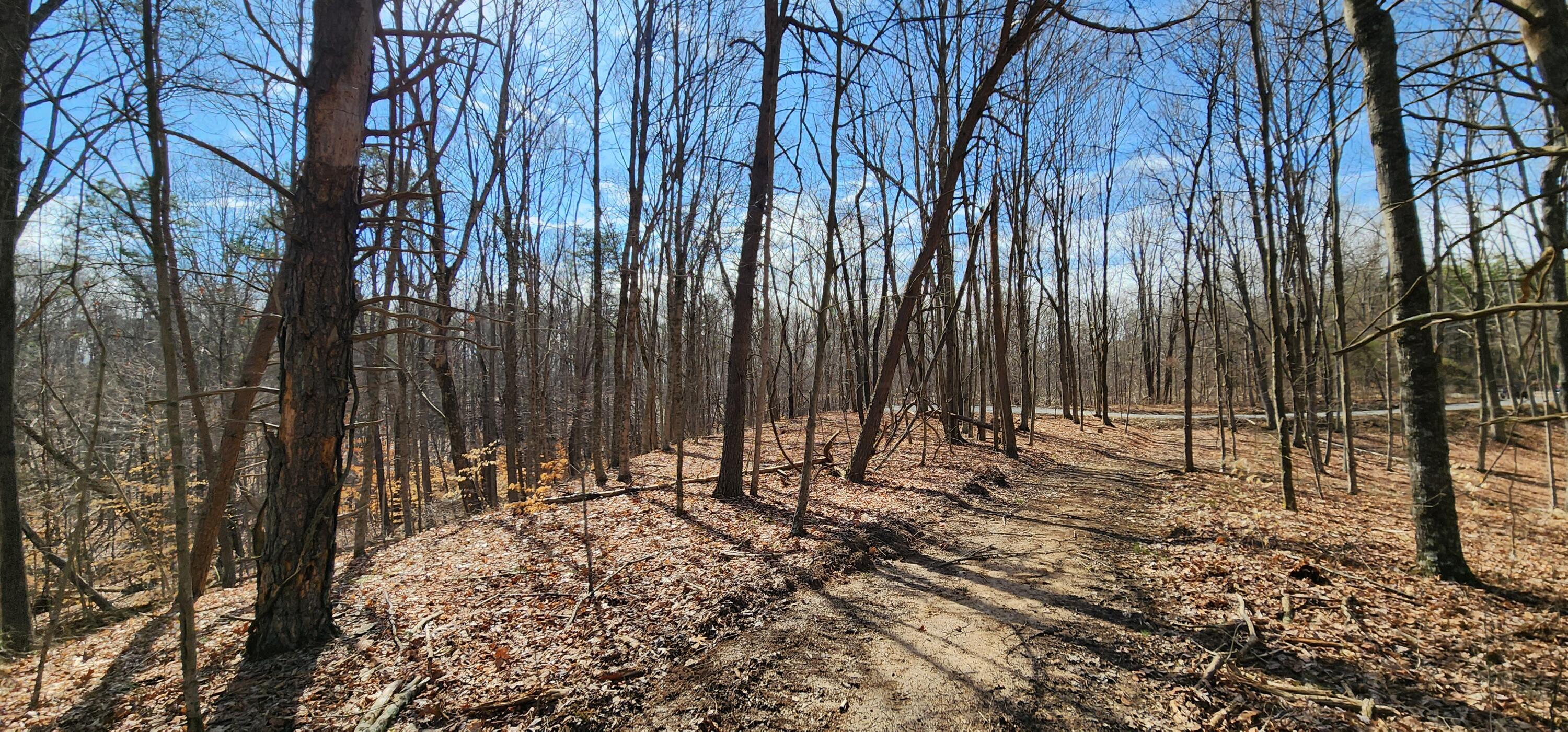 0 Edmunson Road, (tract 6 At Big Timber) Property Photo 9