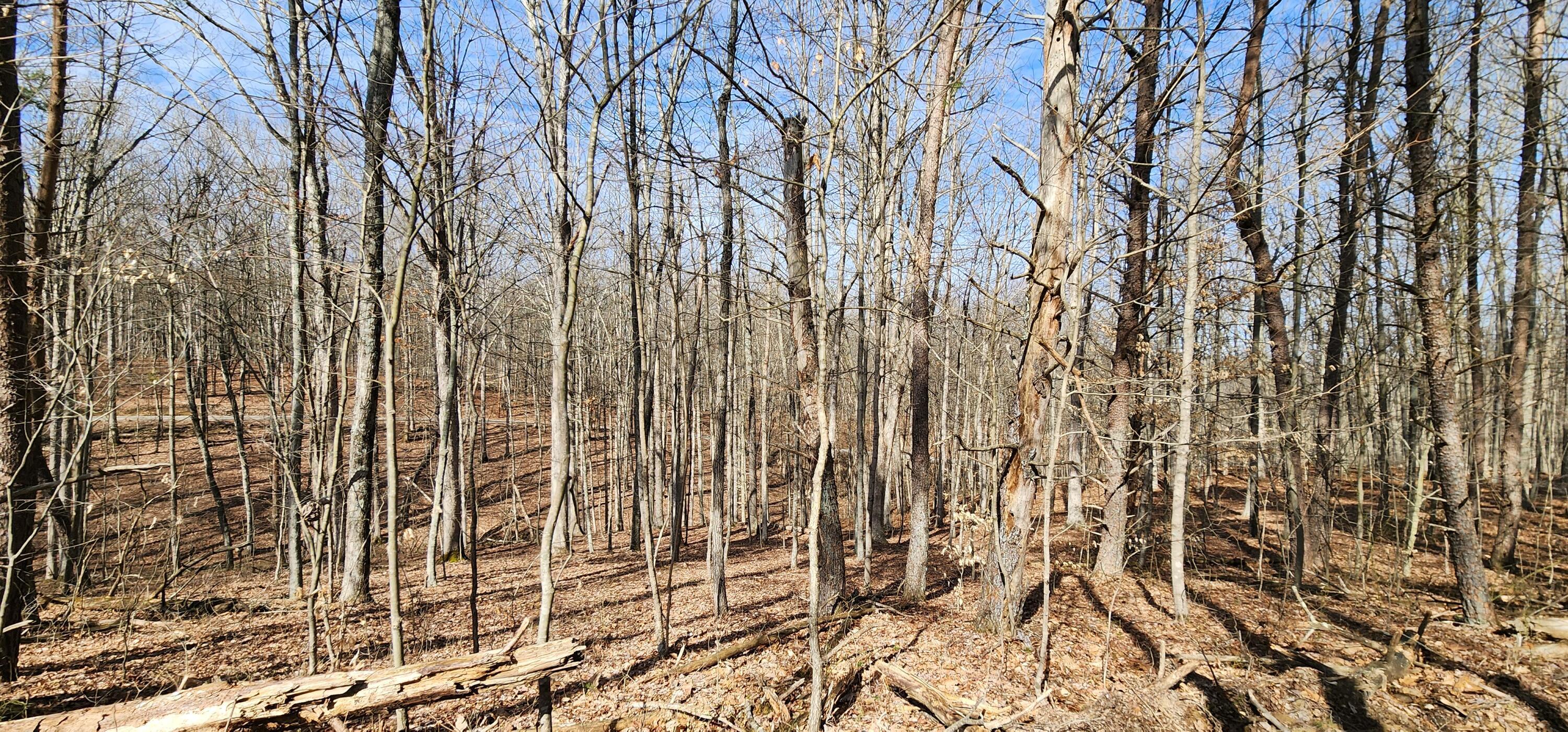 0 Edmunson Road, (tract 6 At Big Timber) Property Photo 10