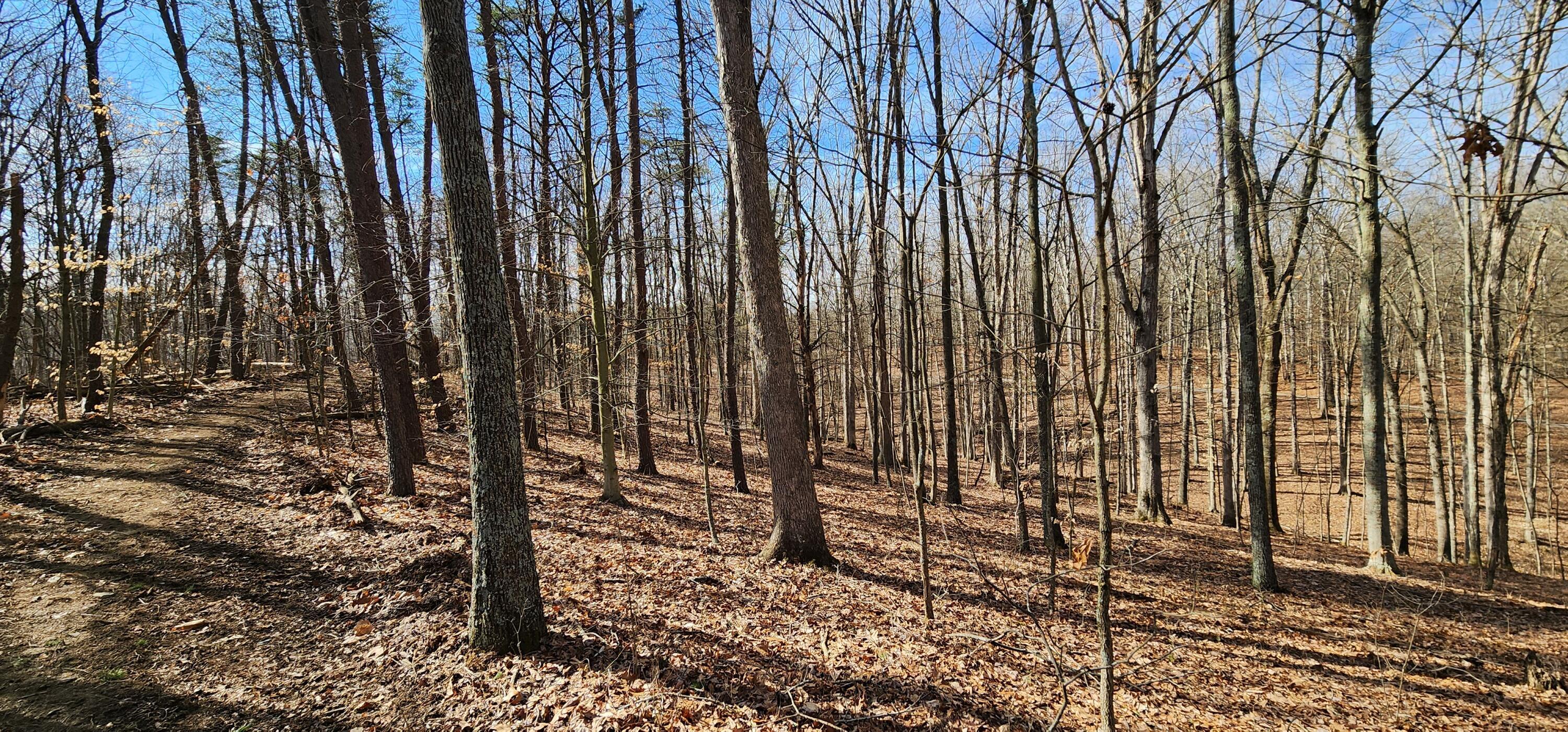 0 Edmunson Road, (tract 6 At Big Timber) Property Photo 11