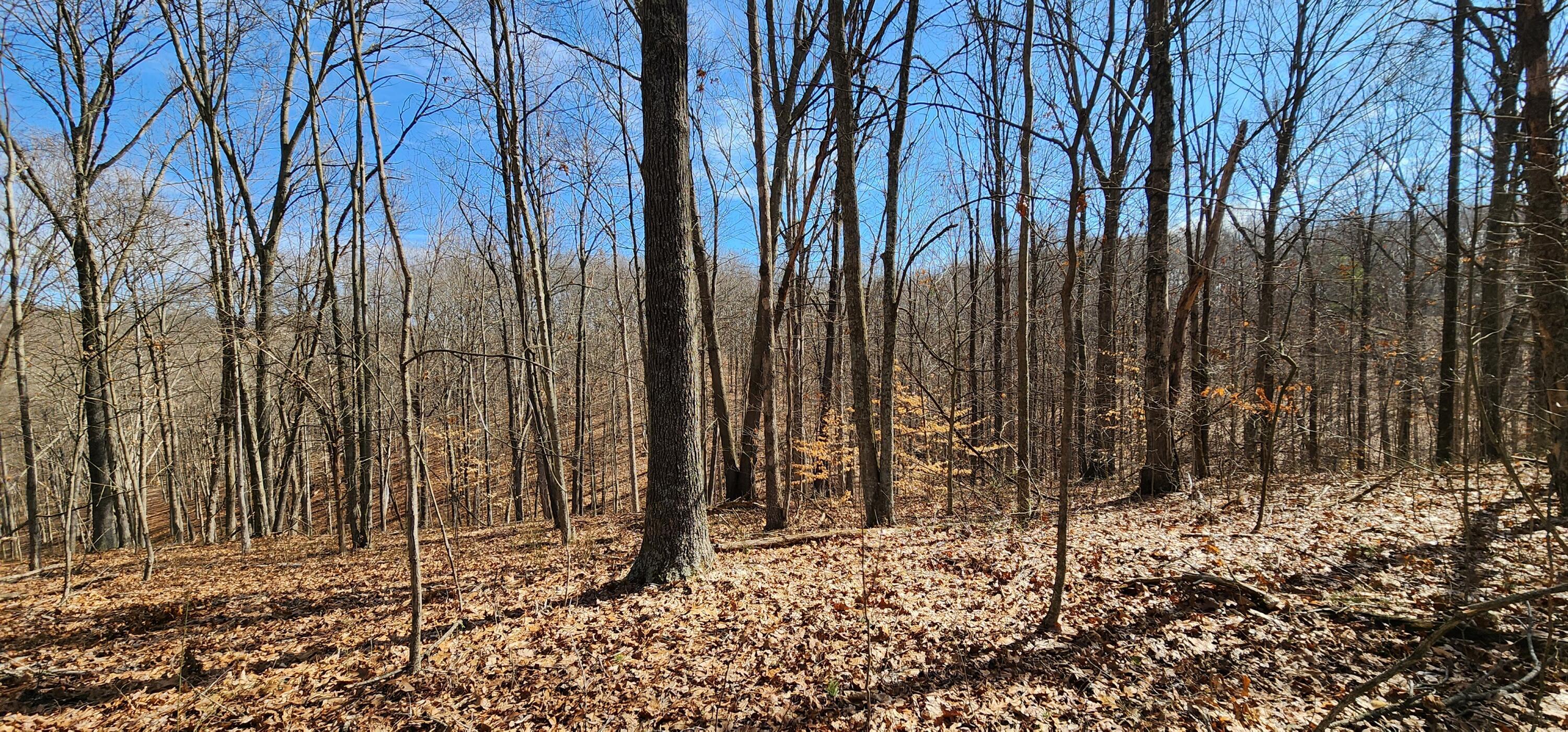 0 Edmunson Road, (tract 6 At Big Timber) Property Photo 12