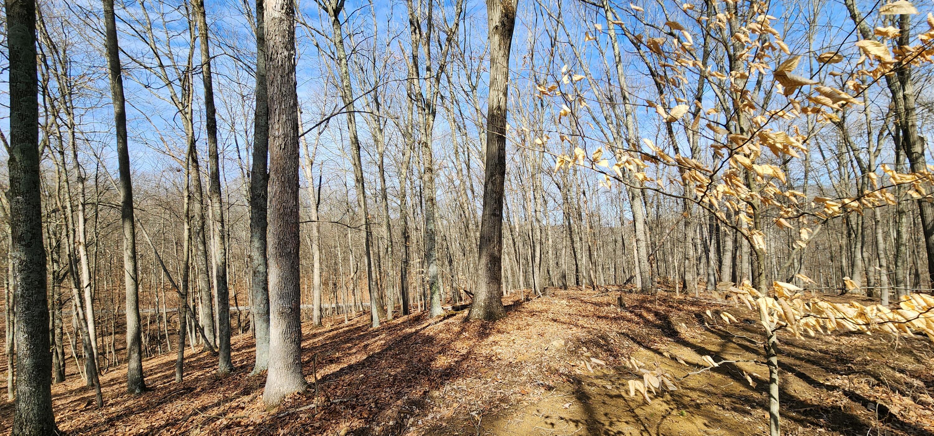 0 Edmunson Road, (tract 6 At Big Timber) Property Photo 14