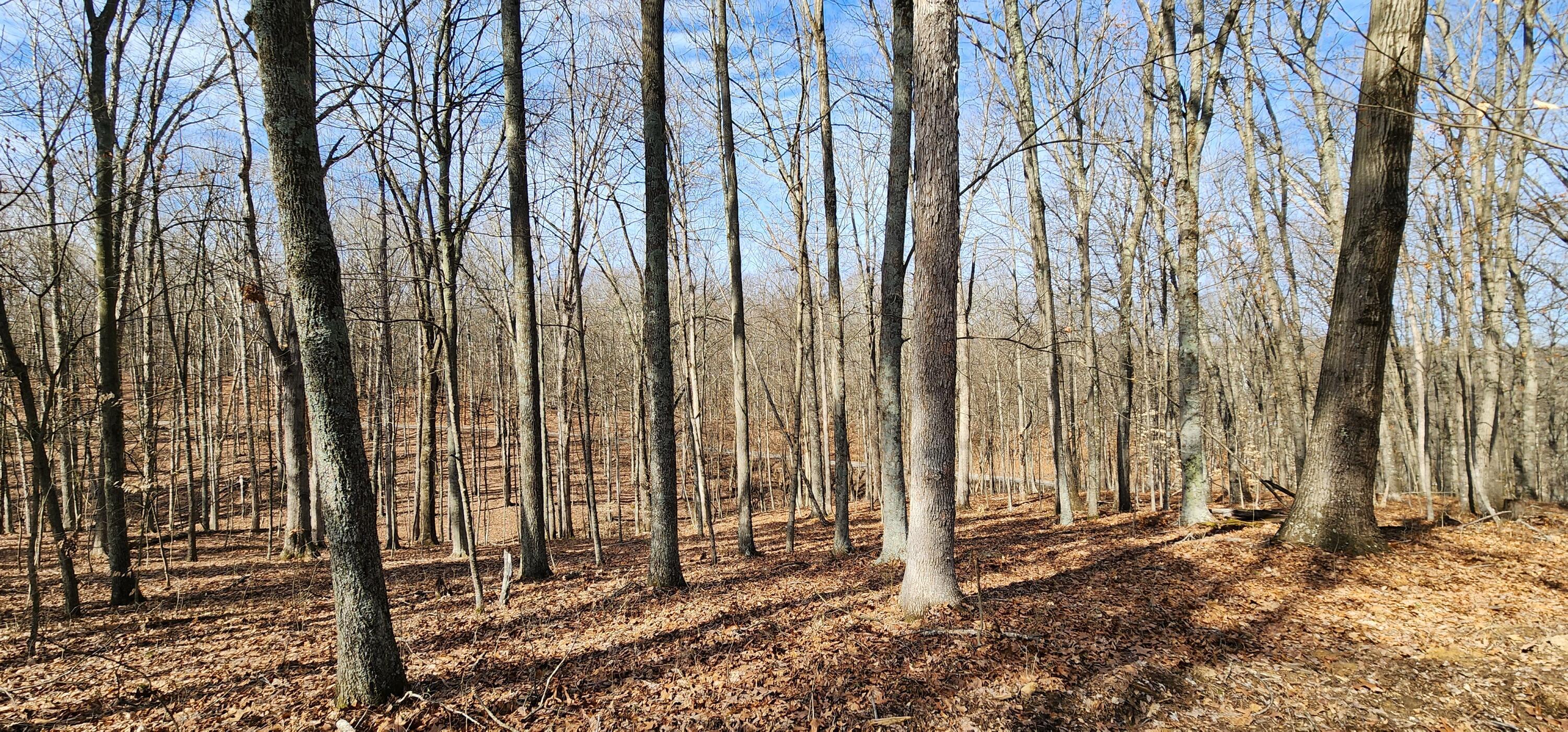 0 Edmunson Road, (tract 6 At Big Timber) Property Photo 15
