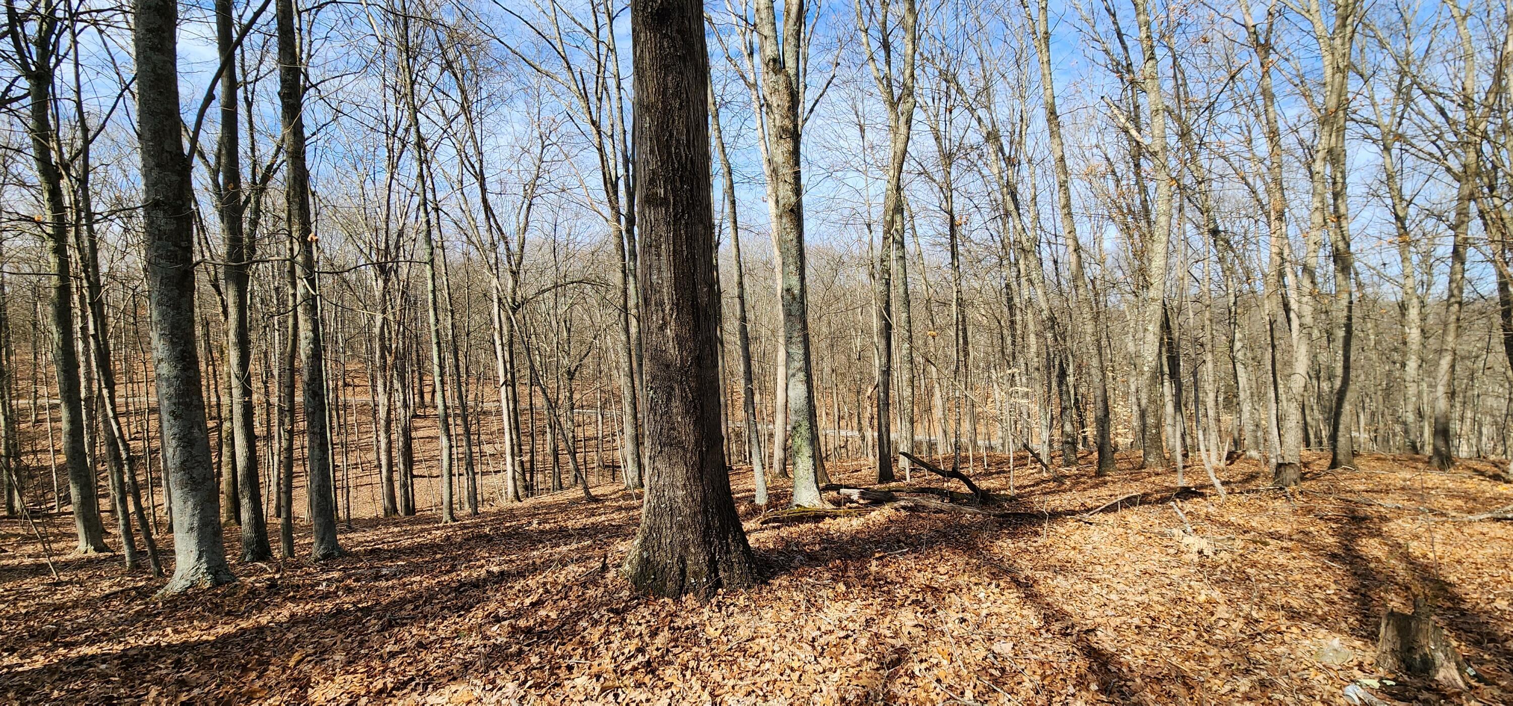 0 Edmunson Road, (tract 6 At Big Timber) Property Photo 19