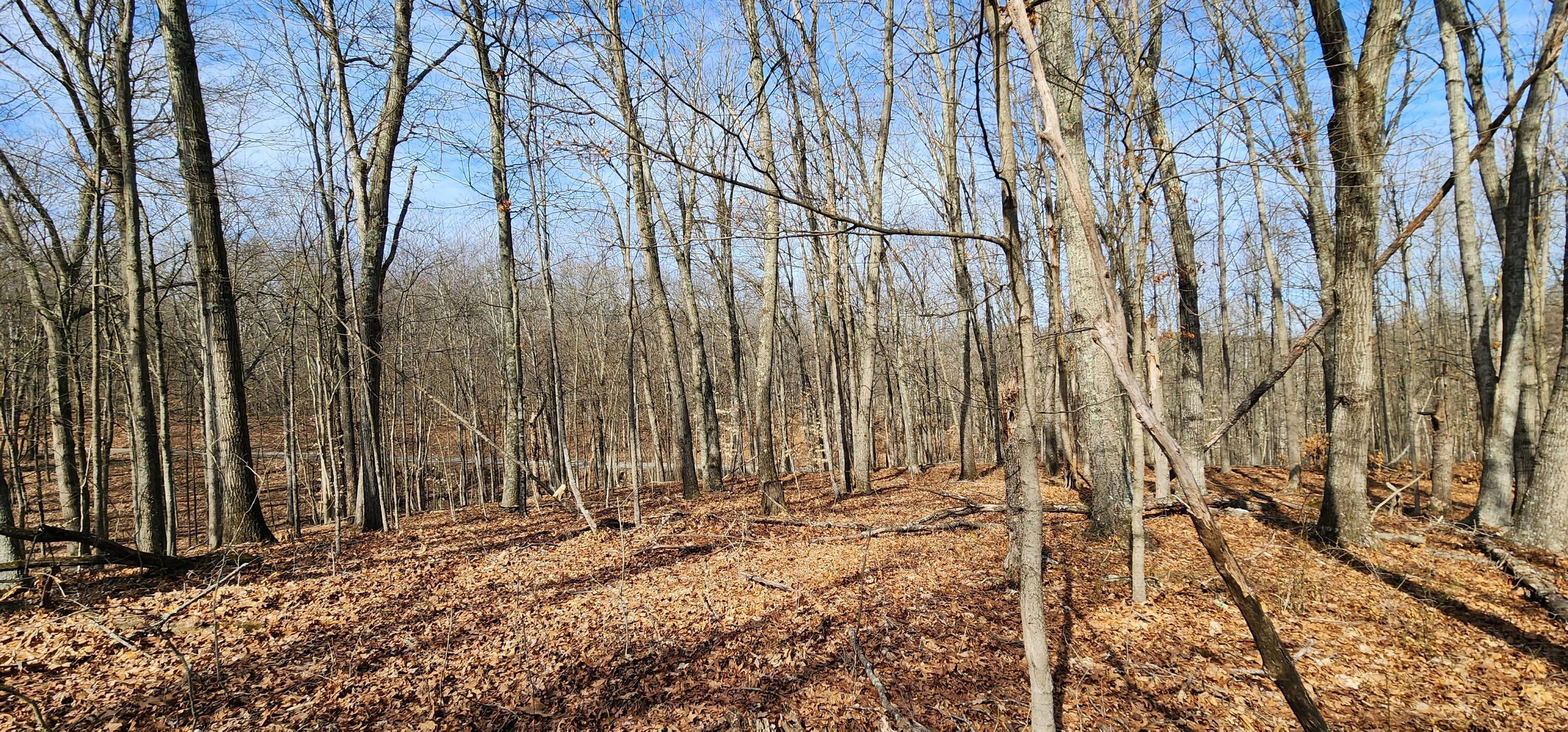 0 Edmunson Road, (tract 6 At Big Timber) Property Photo 20