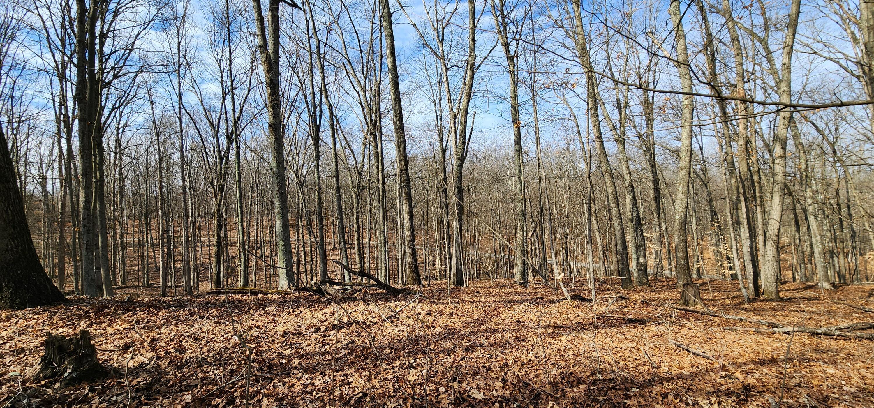 0 Edmunson Road, (tract 6 At Big Timber) Property Photo 21