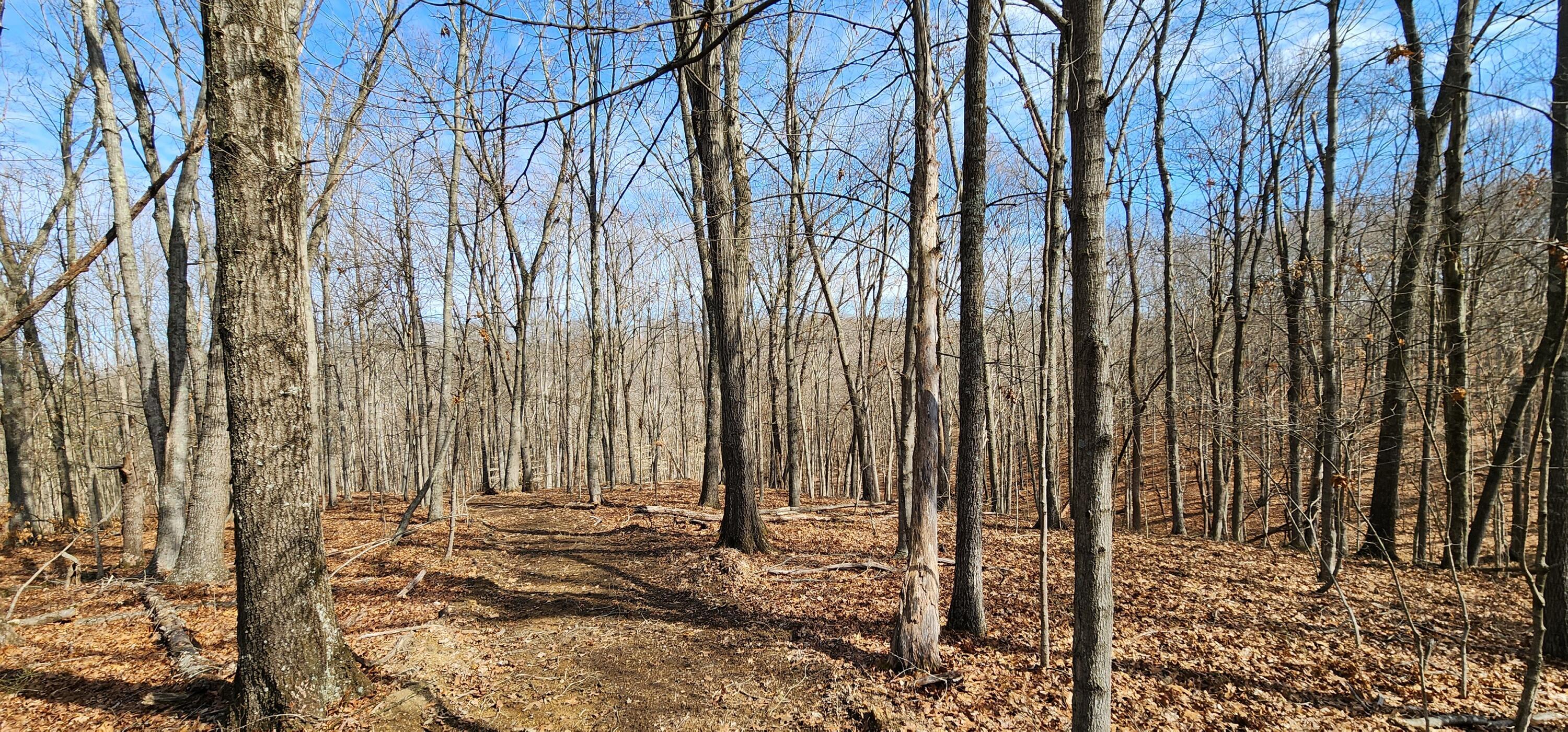 0 Edmunson Road, (tract 6 At Big Timber) Property Photo 22