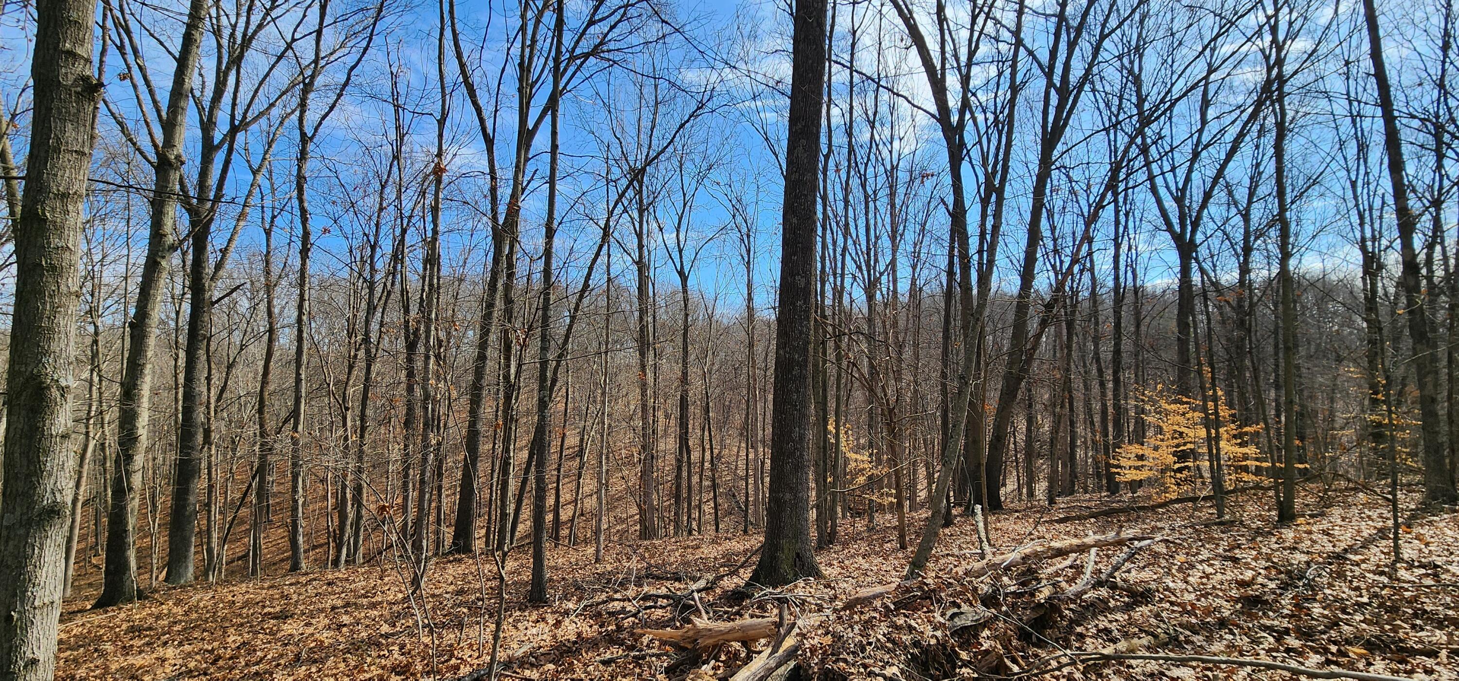 0 Edmunson Road, (tract 6 At Big Timber) Property Photo 23