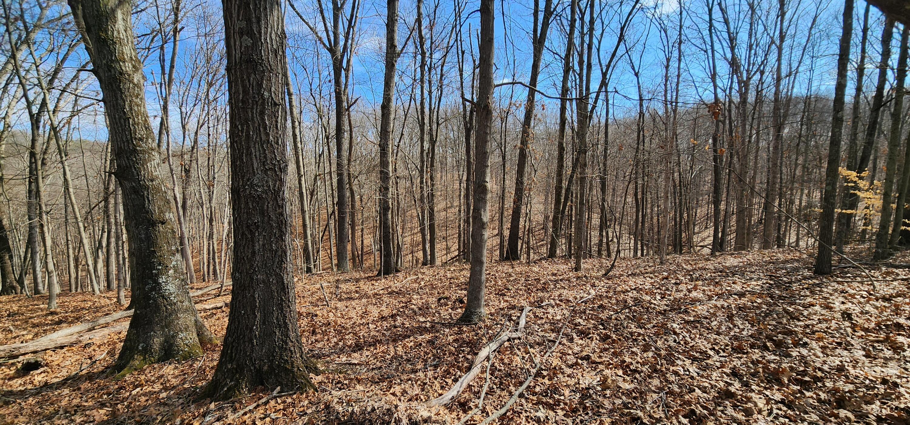 0 Edmunson Road, (tract 6 At Big Timber) Property Photo 26