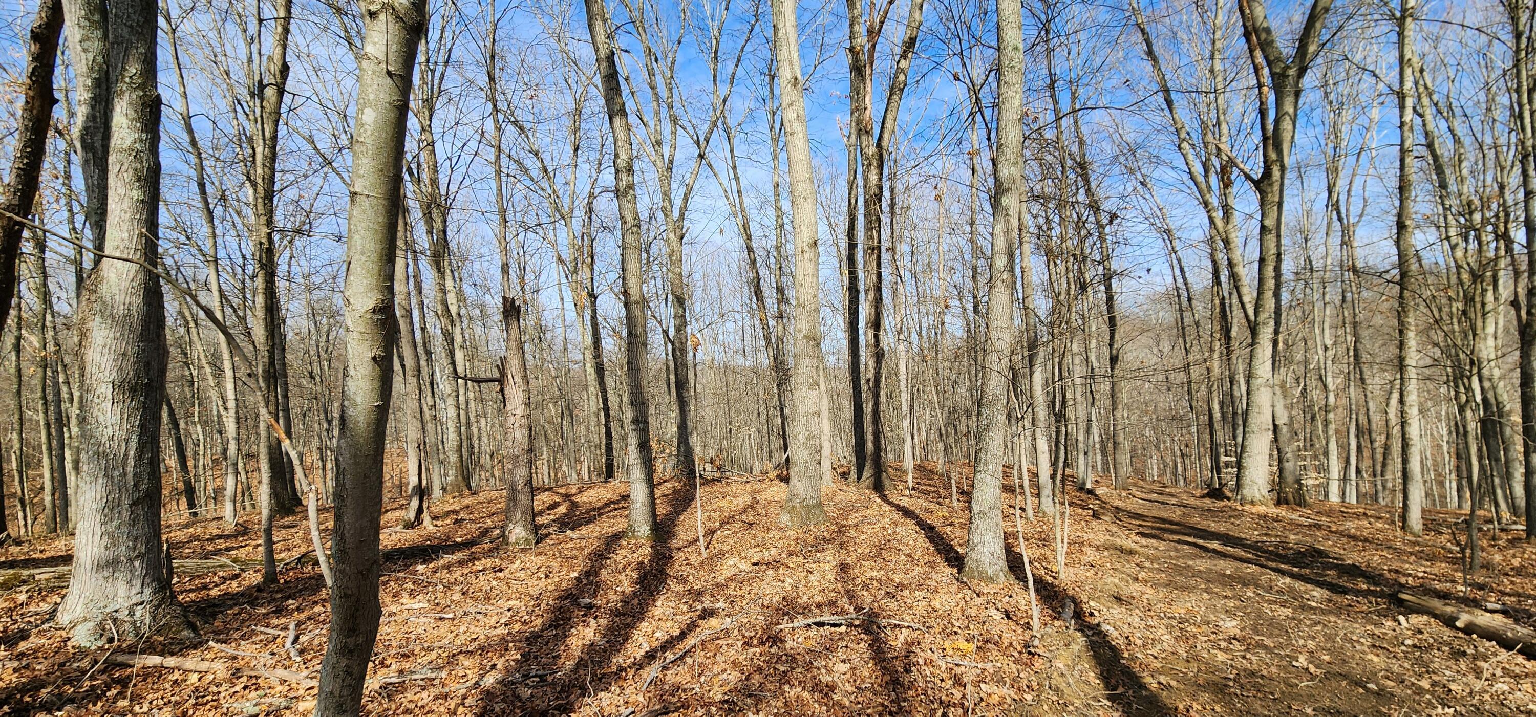0 Edmunson Road, (tract 6 At Big Timber) Property Photo 27