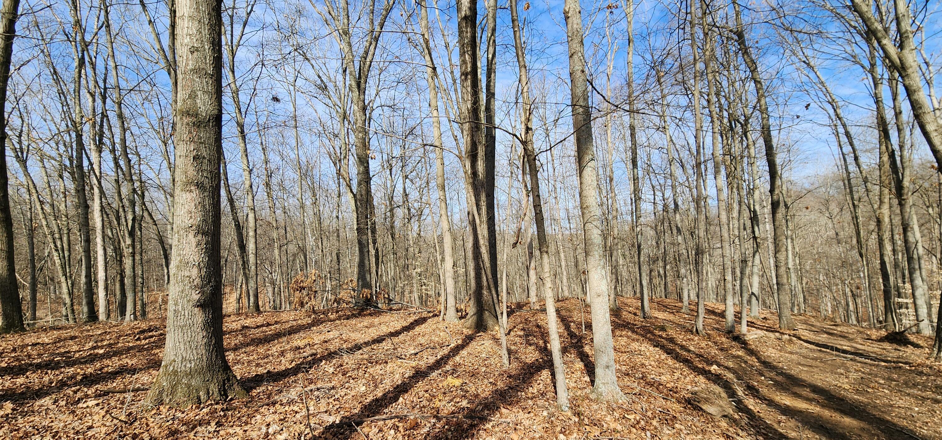 0 Edmunson Road, (tract 6 At Big Timber) Property Photo 28
