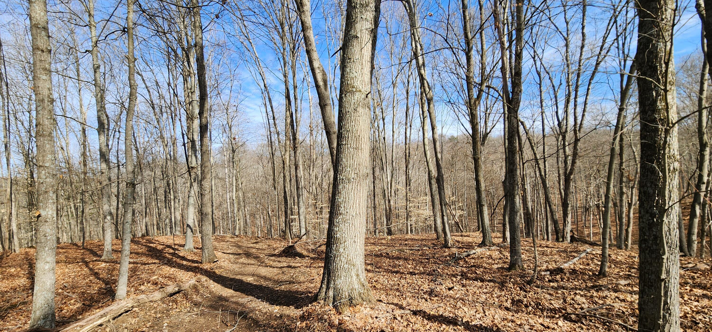 0 Edmunson Road, (tract 6 At Big Timber) Property Photo 29