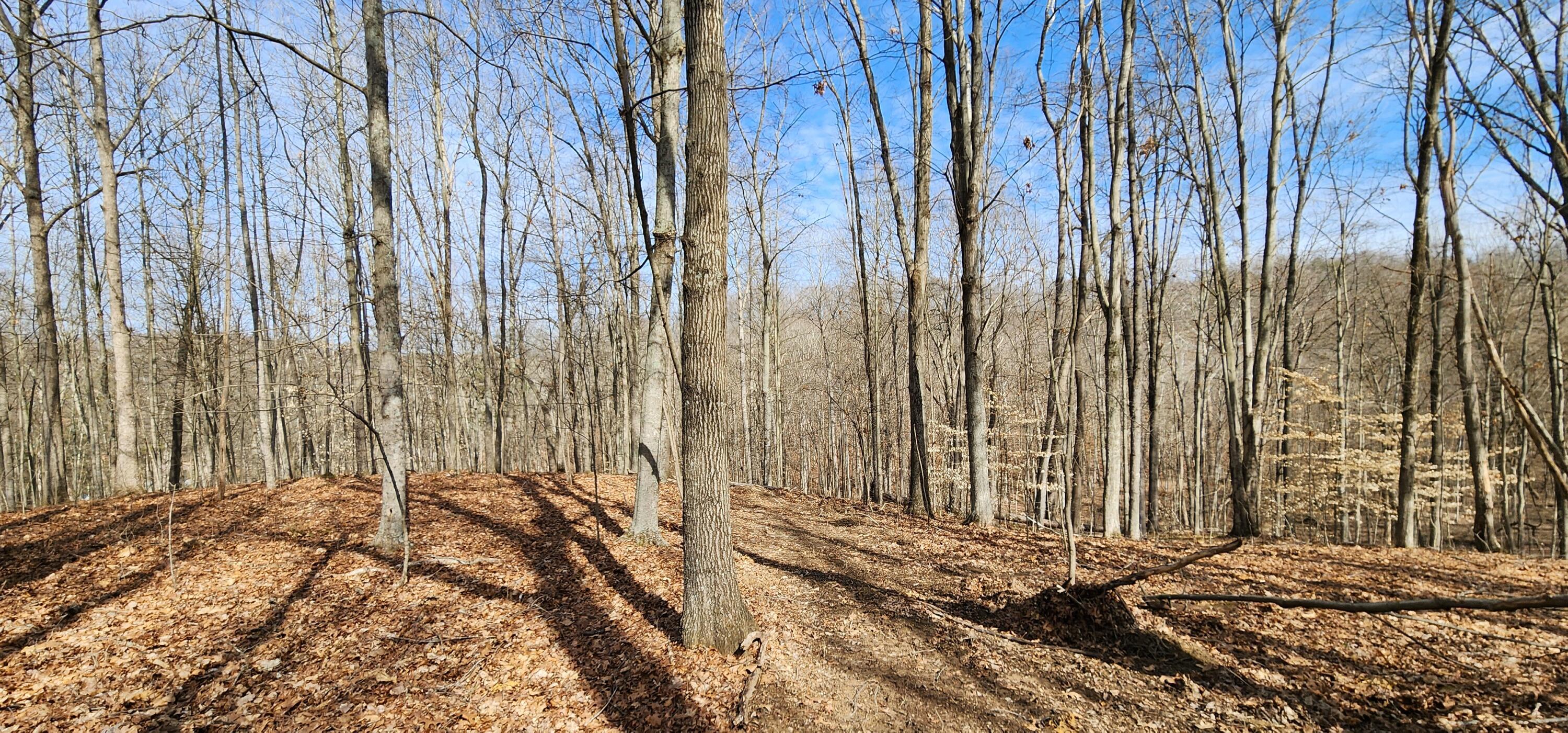 0 Edmunson Road, (tract 6 At Big Timber) Property Photo 30