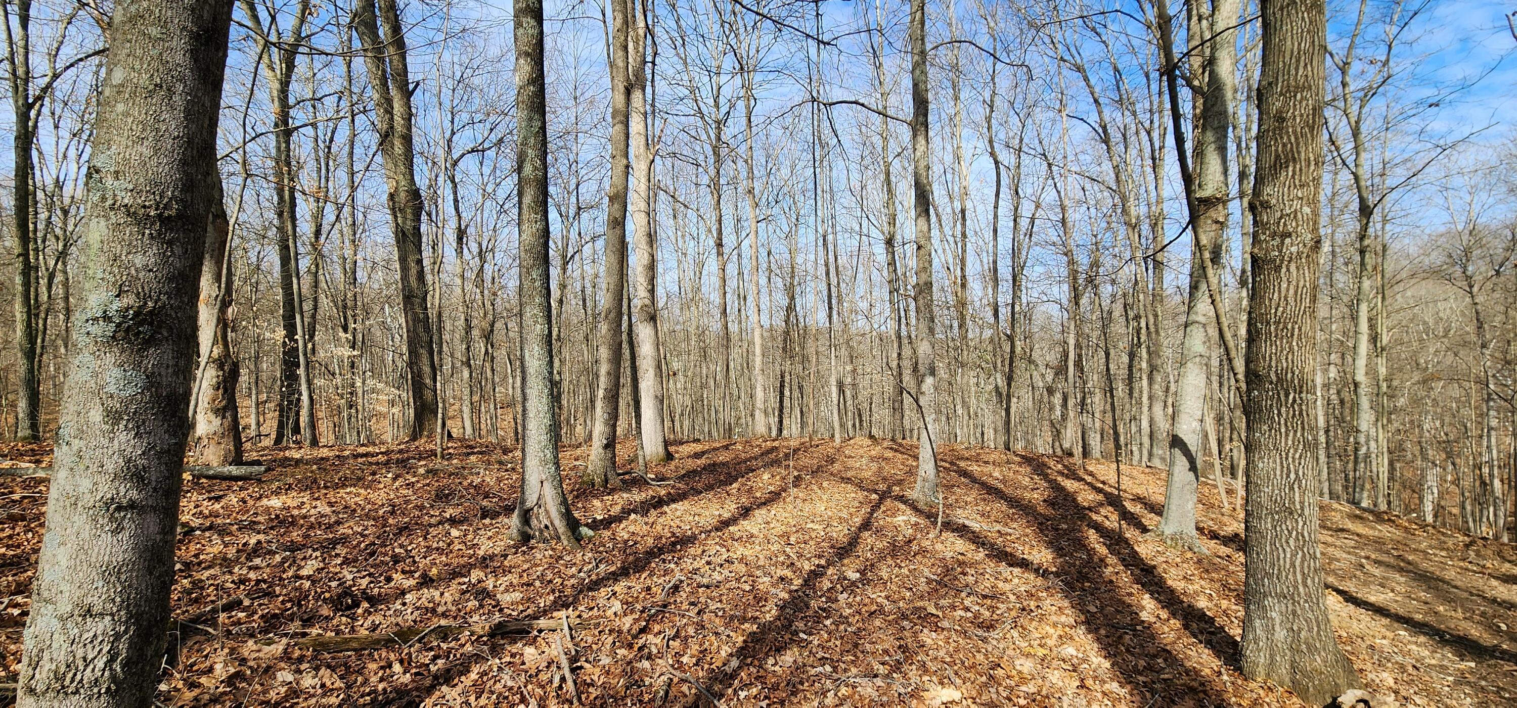 0 Edmunson Road, (tract 6 At Big Timber) Property Photo 31