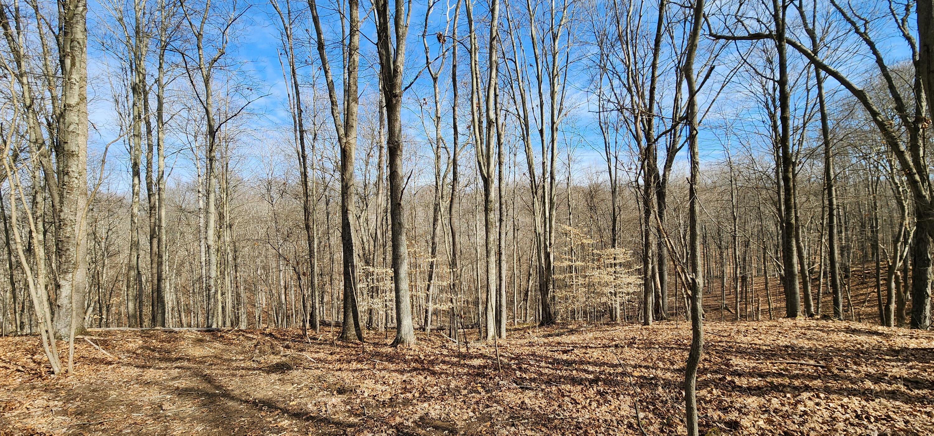 0 Edmunson Road, (tract 6 At Big Timber) Property Photo 32