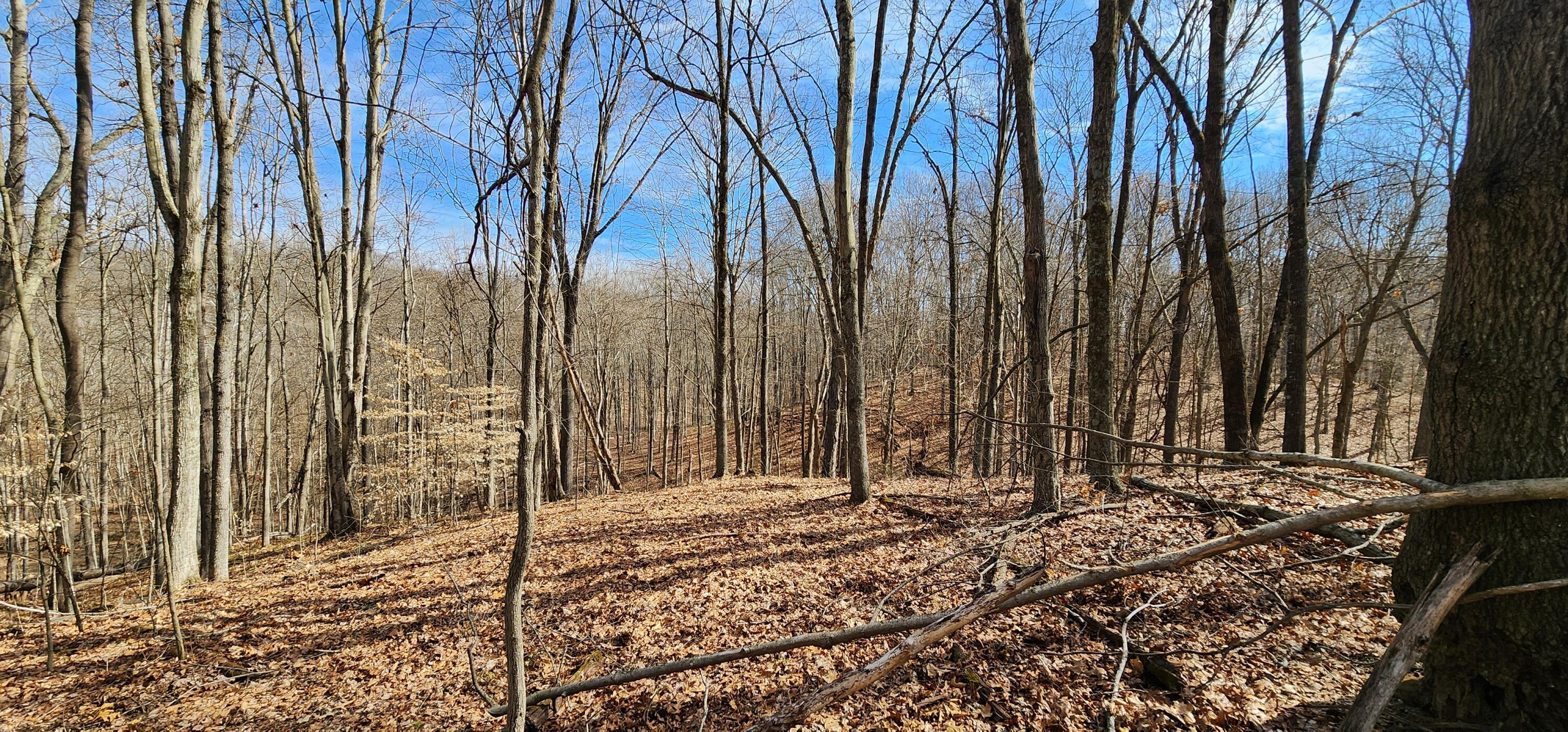 0 Edmunson Road, (tract 6 At Big Timber) Property Photo 33