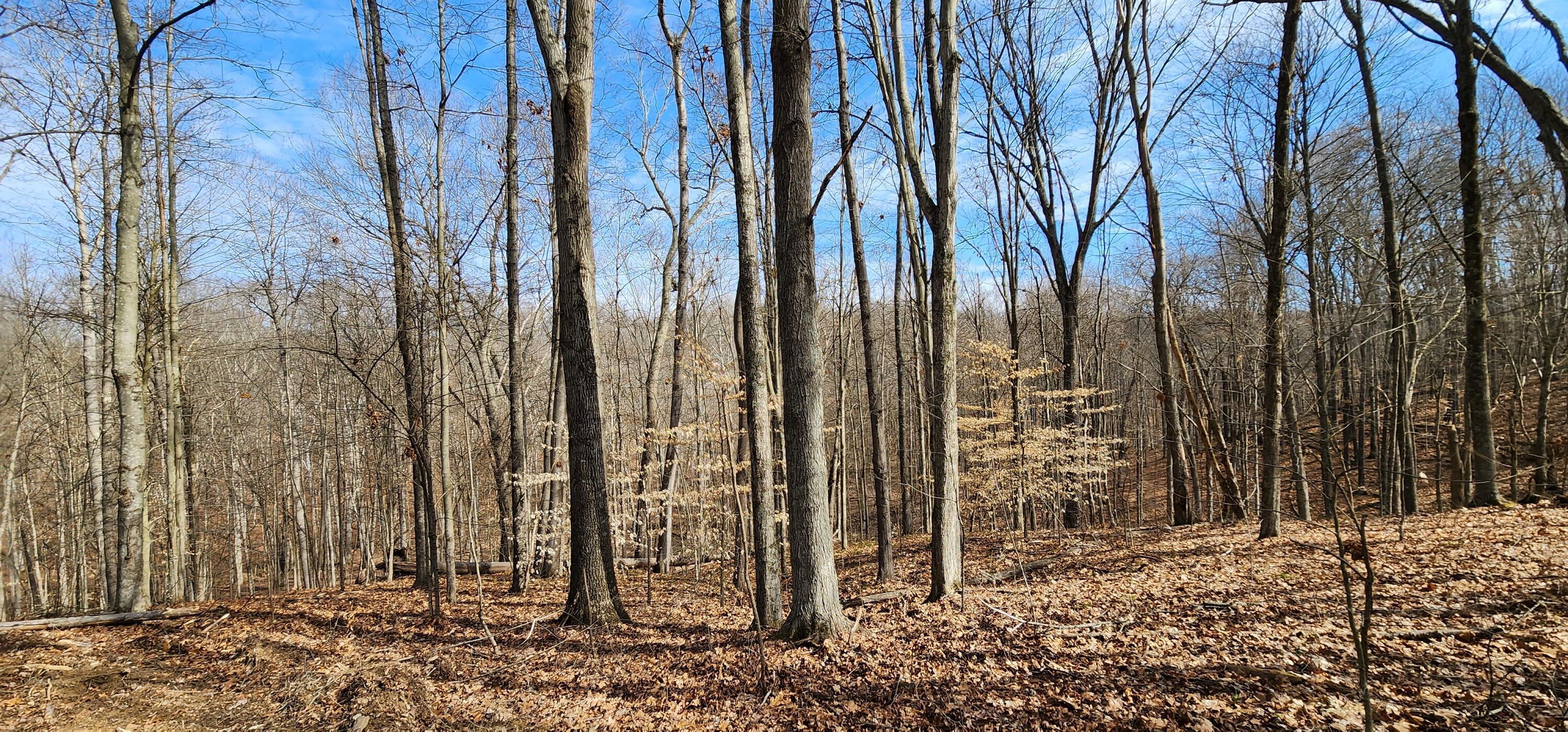 0 Edmunson Road, (tract 6 At Big Timber) Property Photo 34