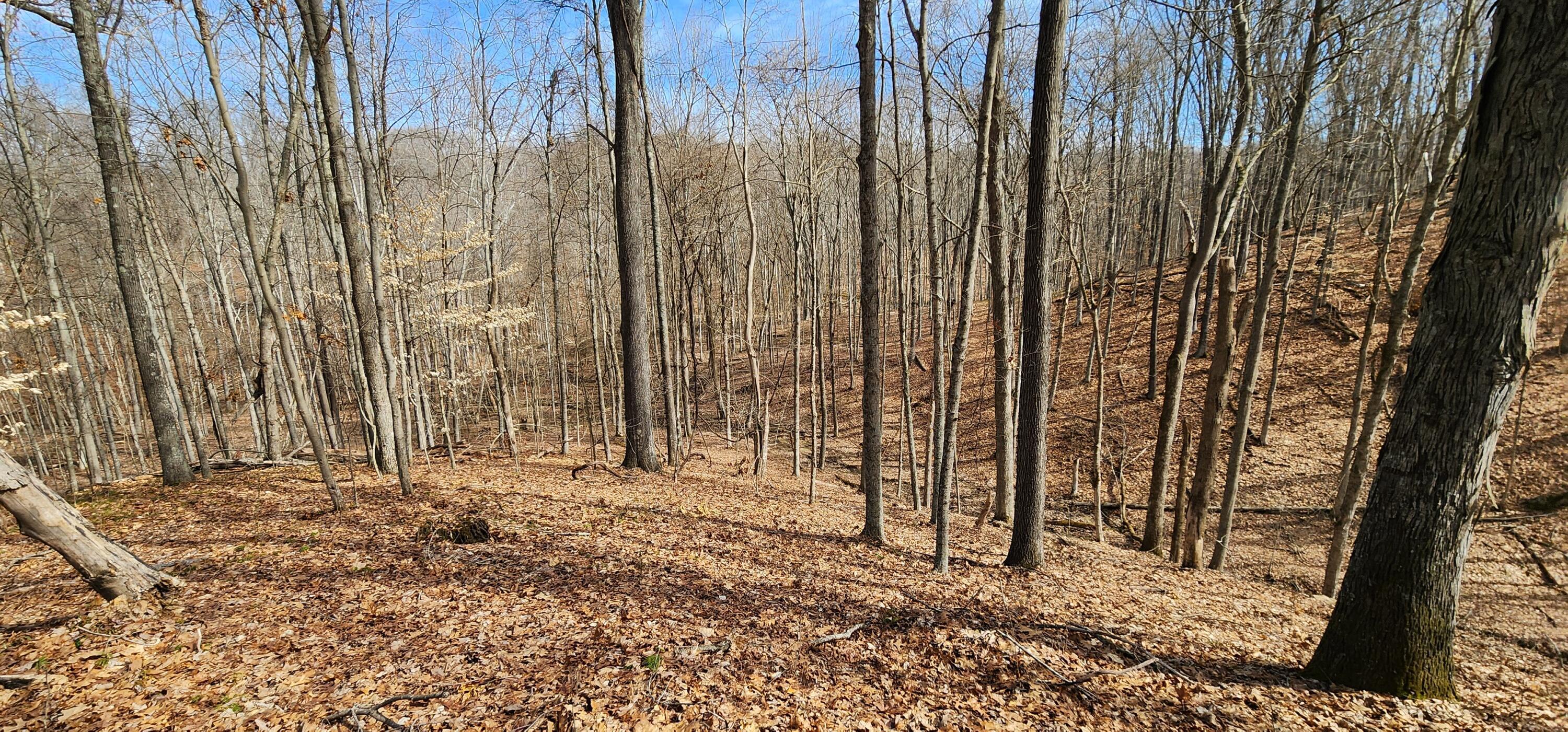 0 Edmunson Road, (tract 6 At Big Timber) Property Photo 35