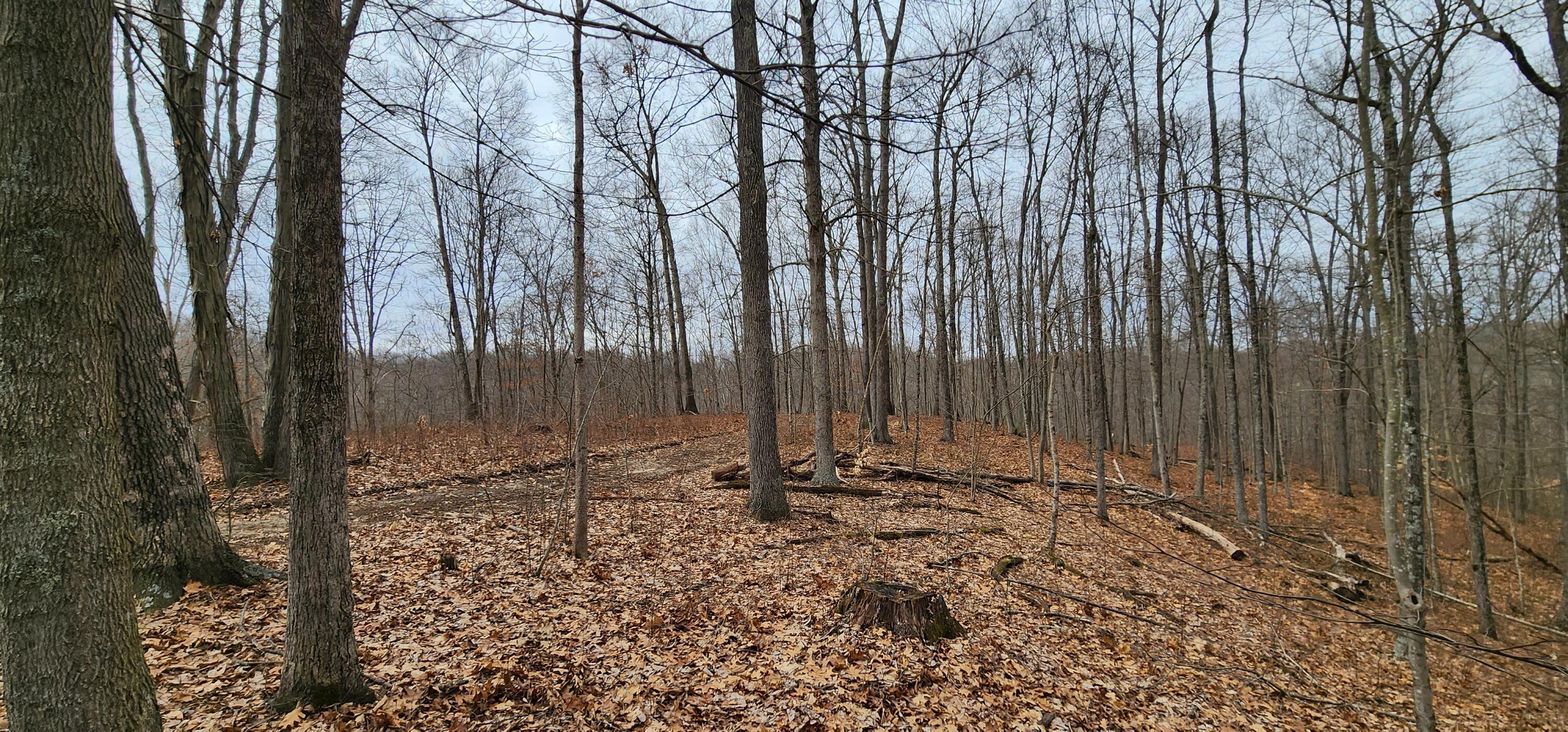 0 Edmunson Road, (tract 6 At Big Timber) Property Photo 36