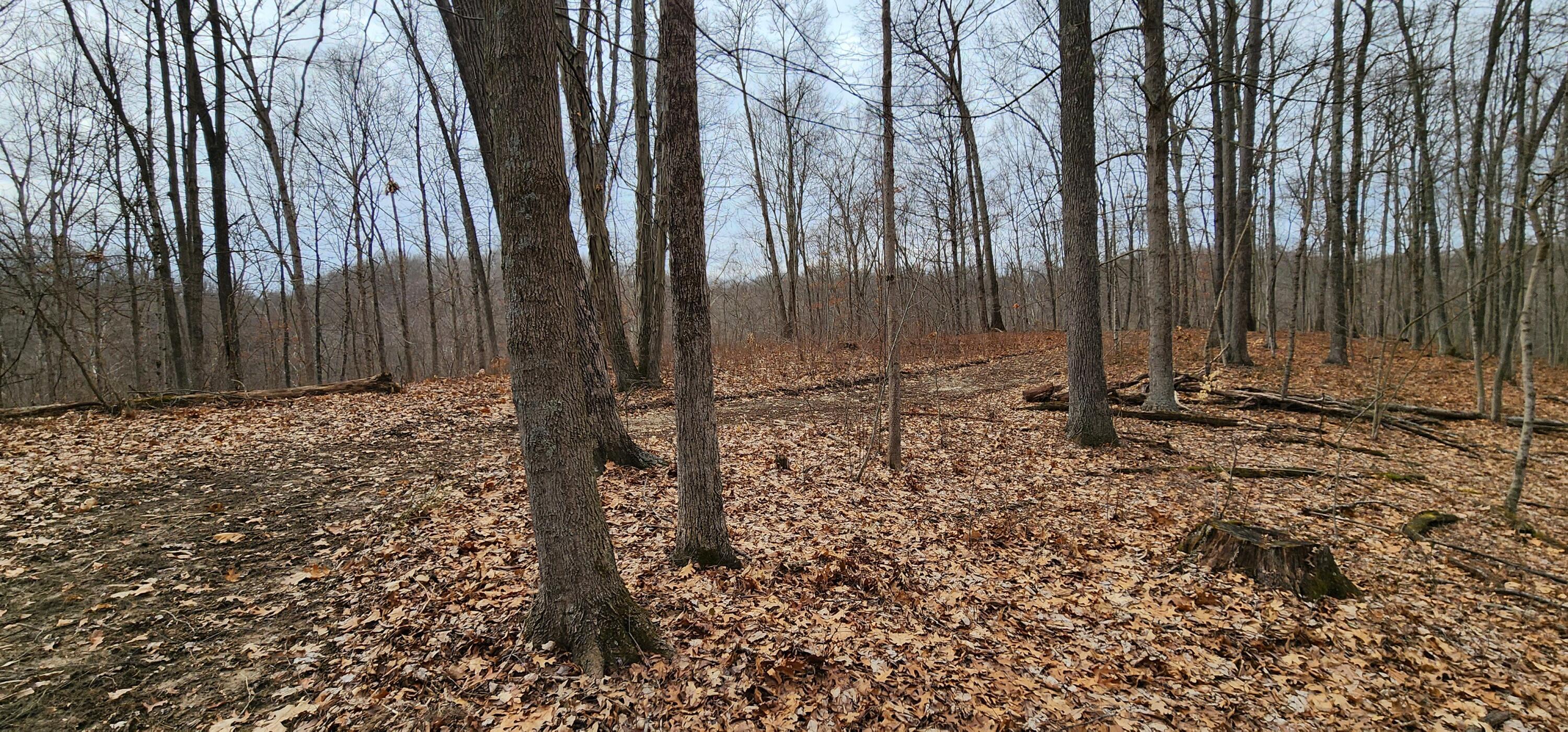 0 Edmunson Road, (tract 6 At Big Timber) Property Photo 37