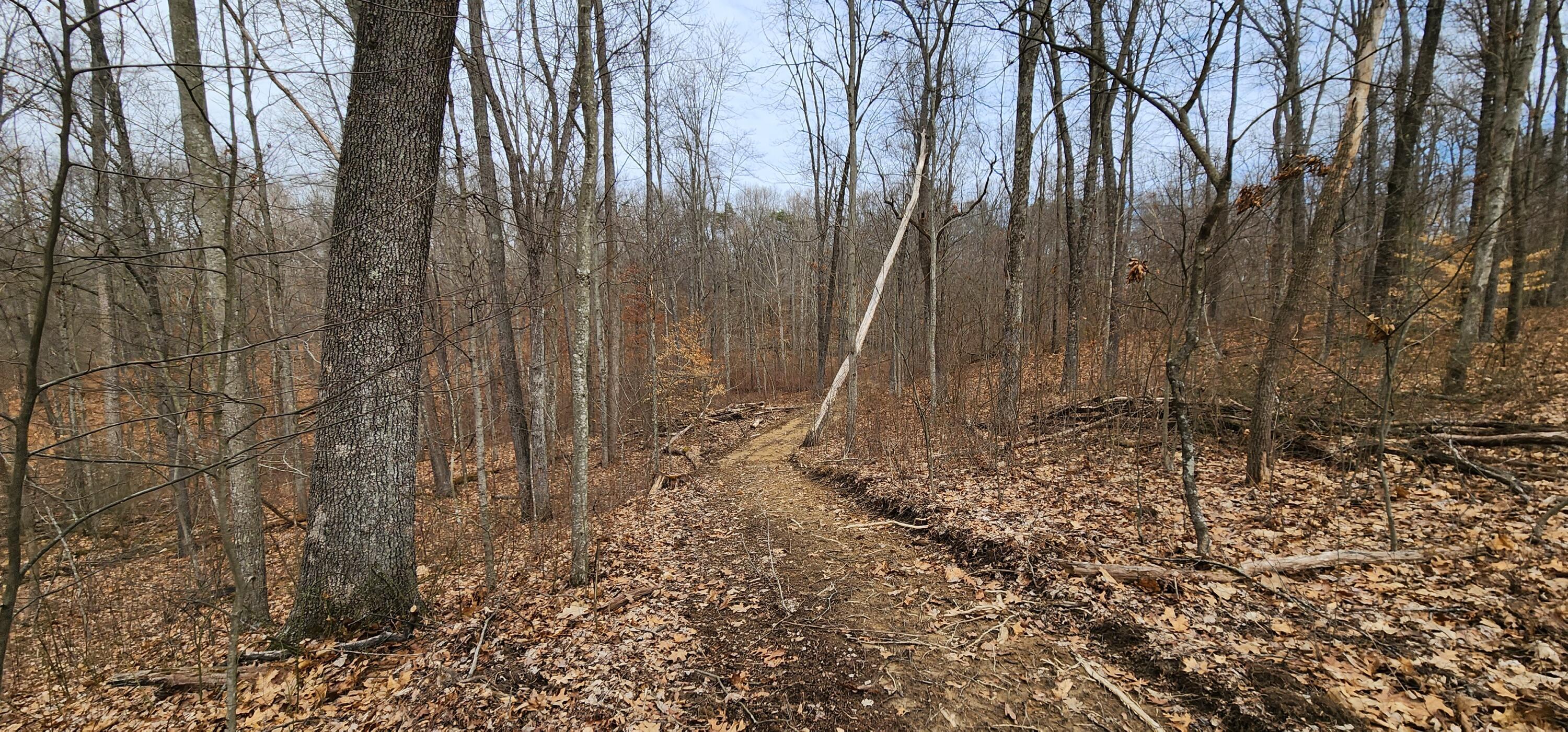 0 Edmunson Road, (tract 6 At Big Timber) Property Photo 38