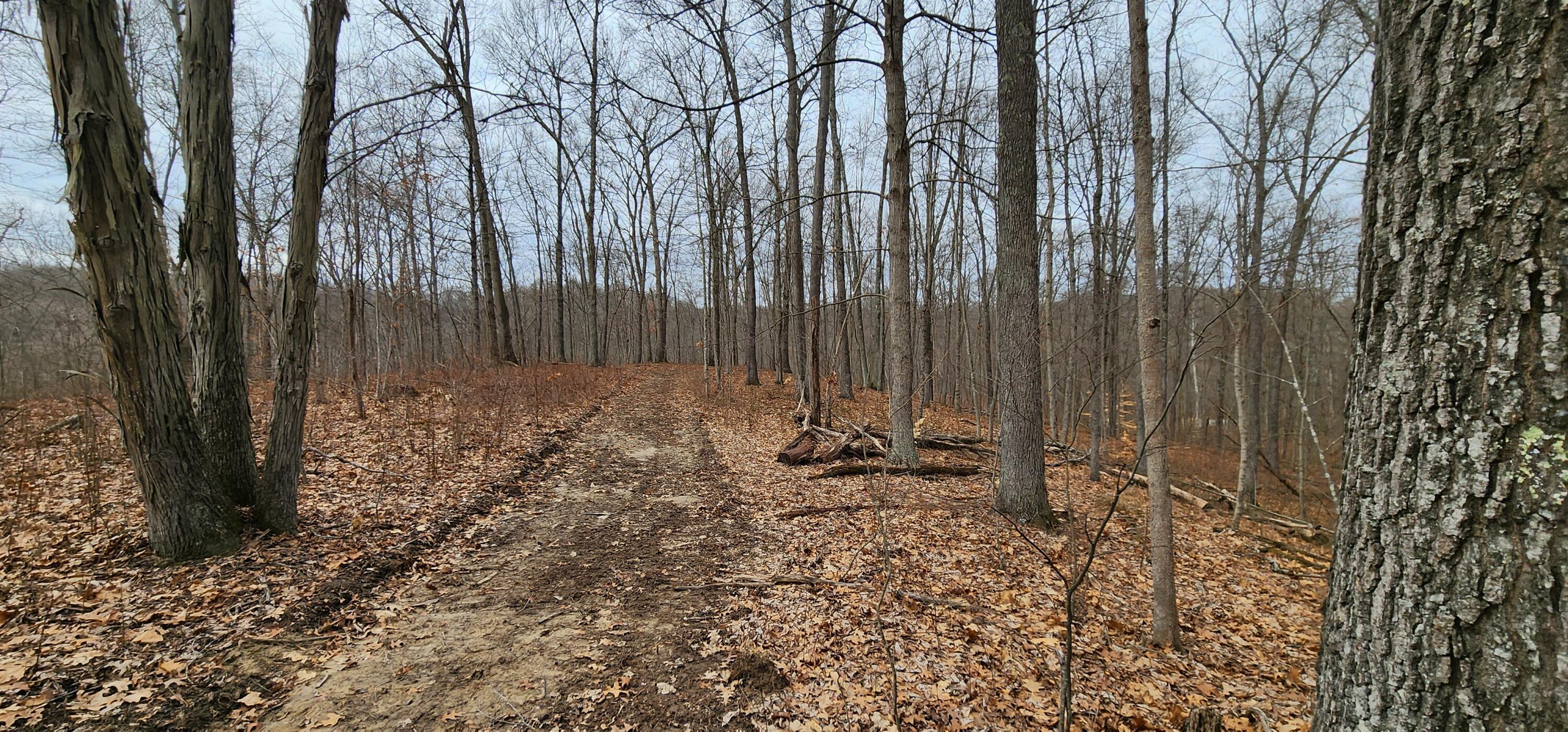0 Edmunson Road, (tract 6 At Big Timber) Property Photo 39