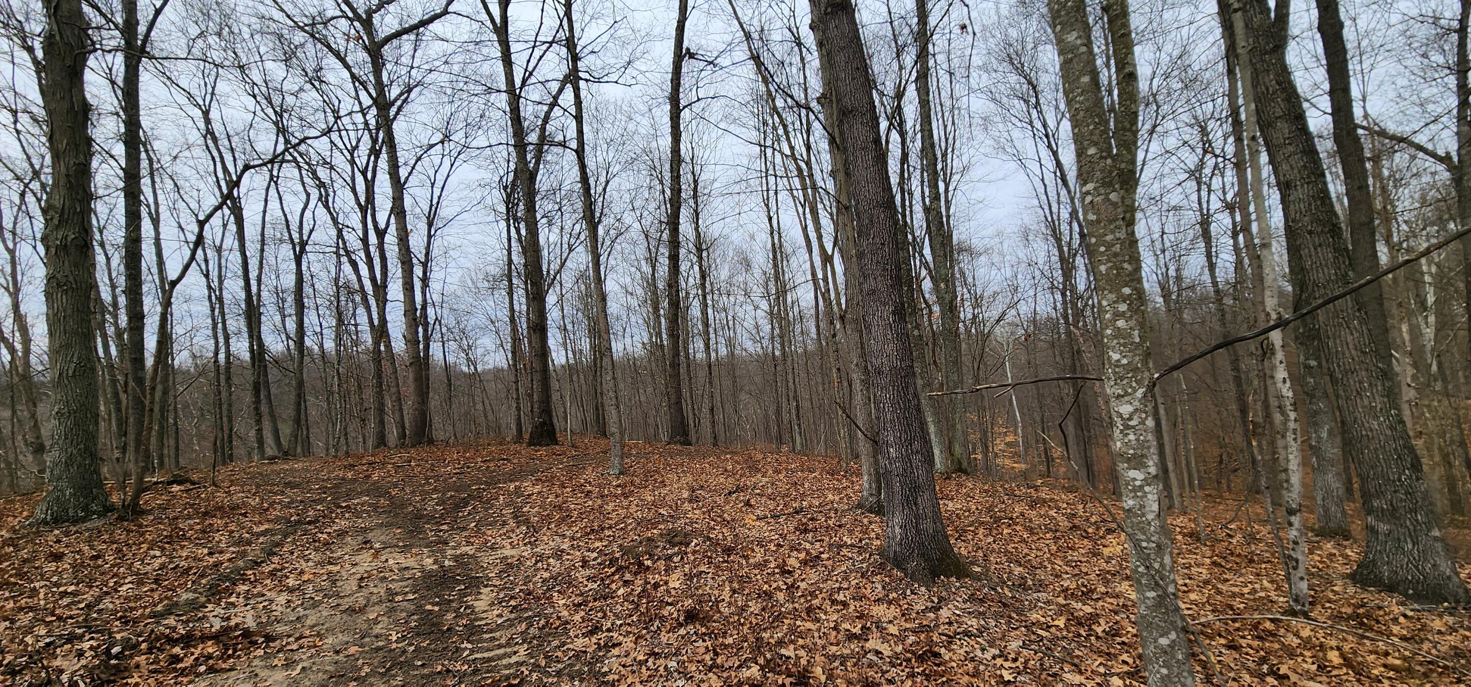 0 Edmunson Road, (tract 6 At Big Timber) Property Photo 41