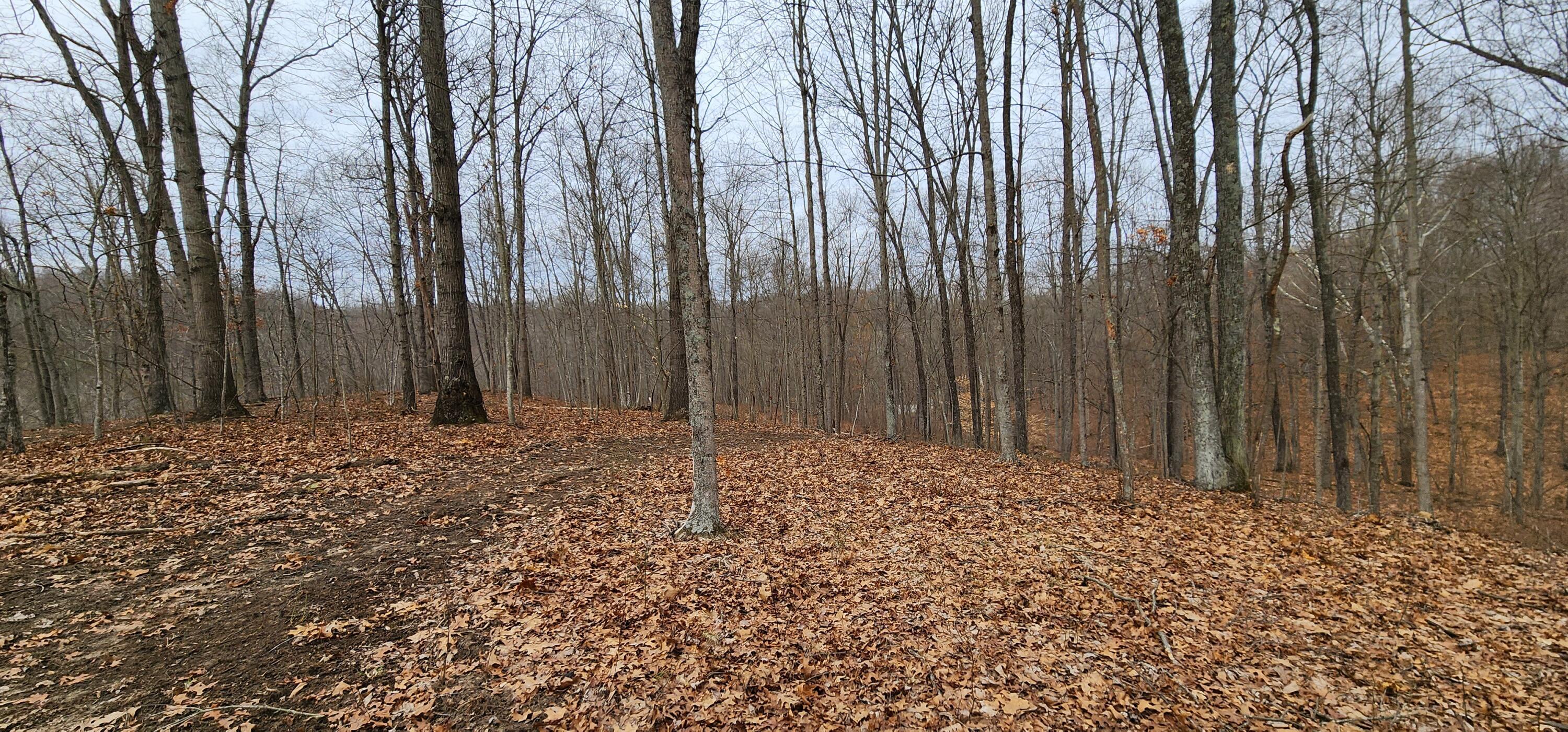 0 Edmunson Road, (tract 6 At Big Timber) Property Photo 42