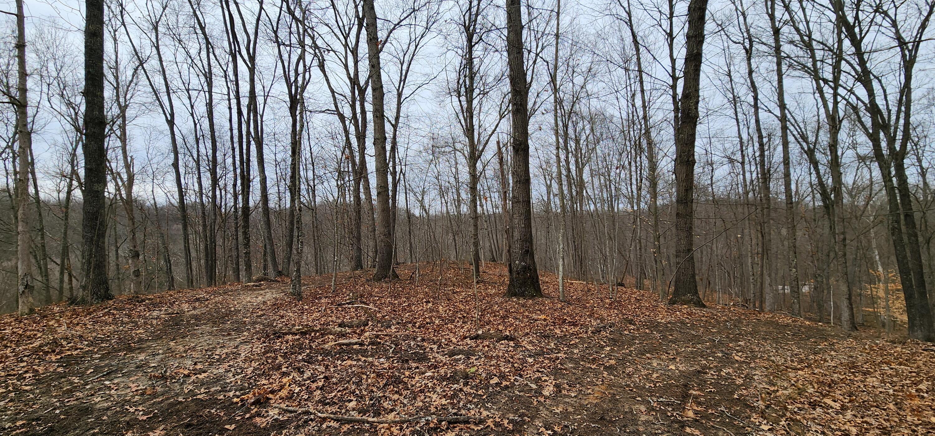 0 Edmunson Road, (tract 6 At Big Timber) Property Photo 43