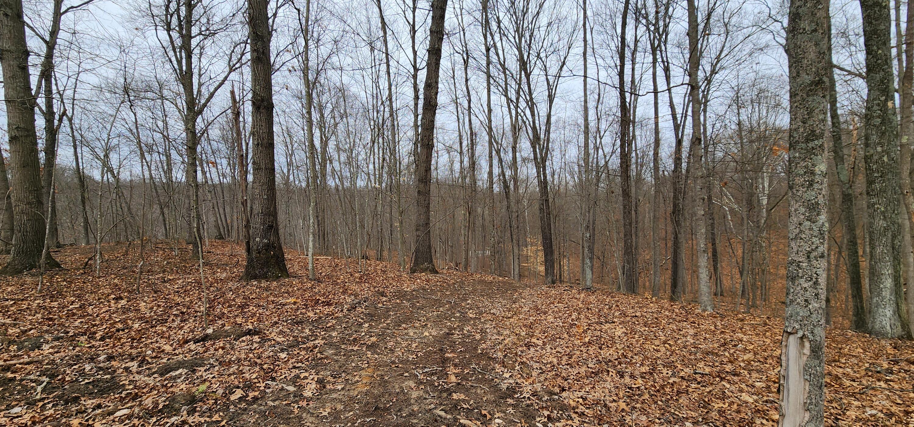 0 Edmunson Road, (tract 6 At Big Timber) Property Photo 44