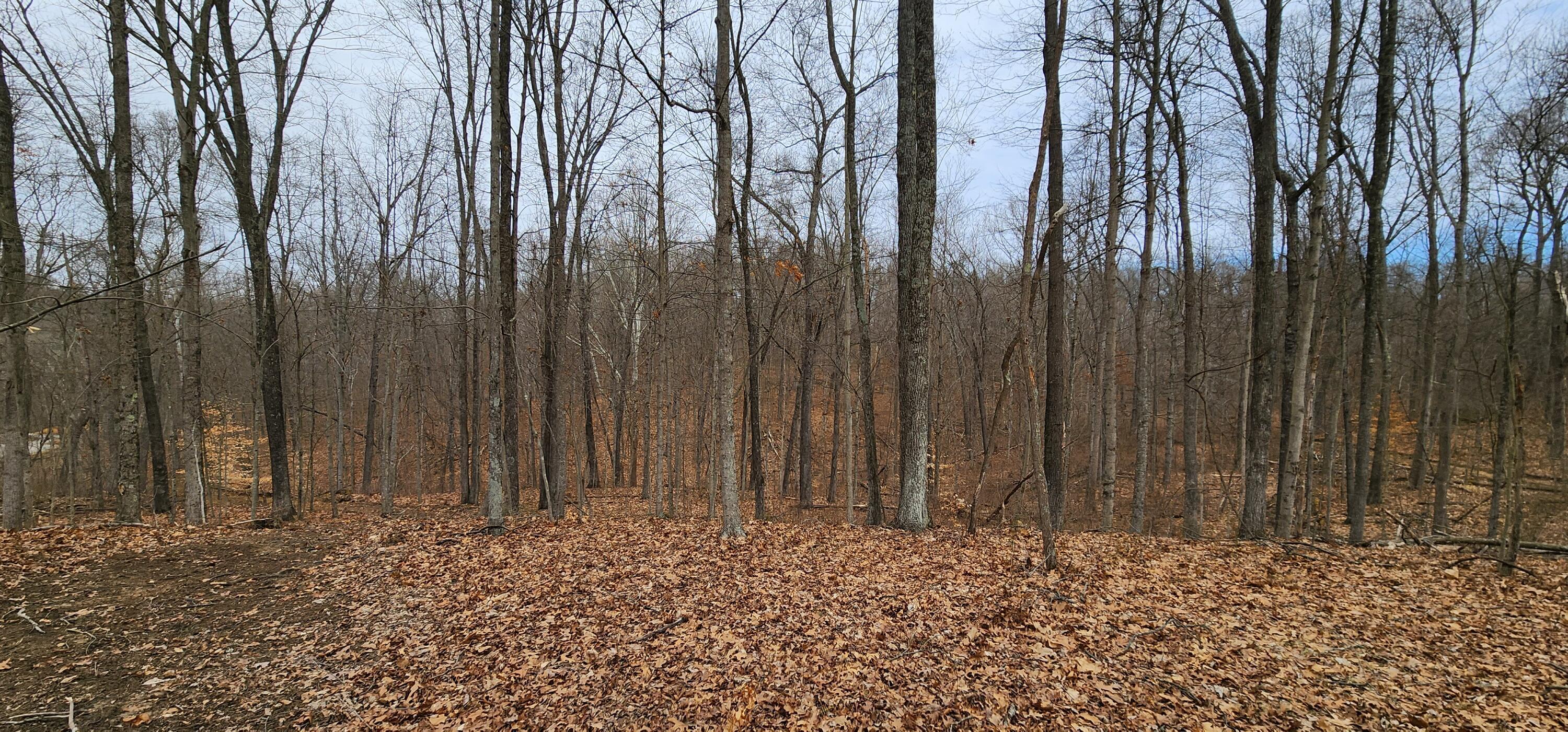 0 Edmunson Road, (tract 6 At Big Timber) Property Photo 45