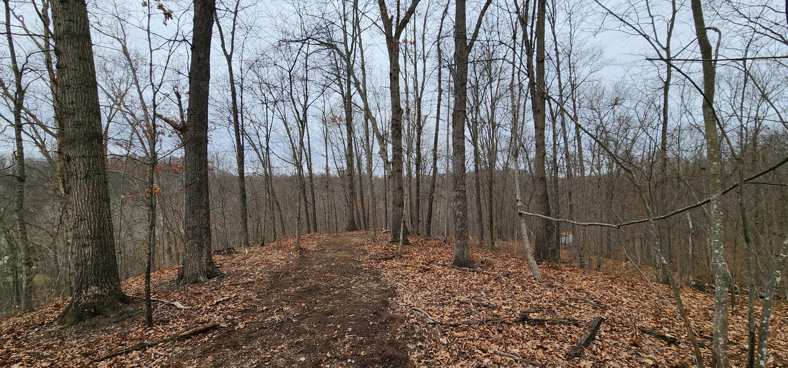 0 Edmunson Road, (tract 6 At Big Timber) Property Photo 46