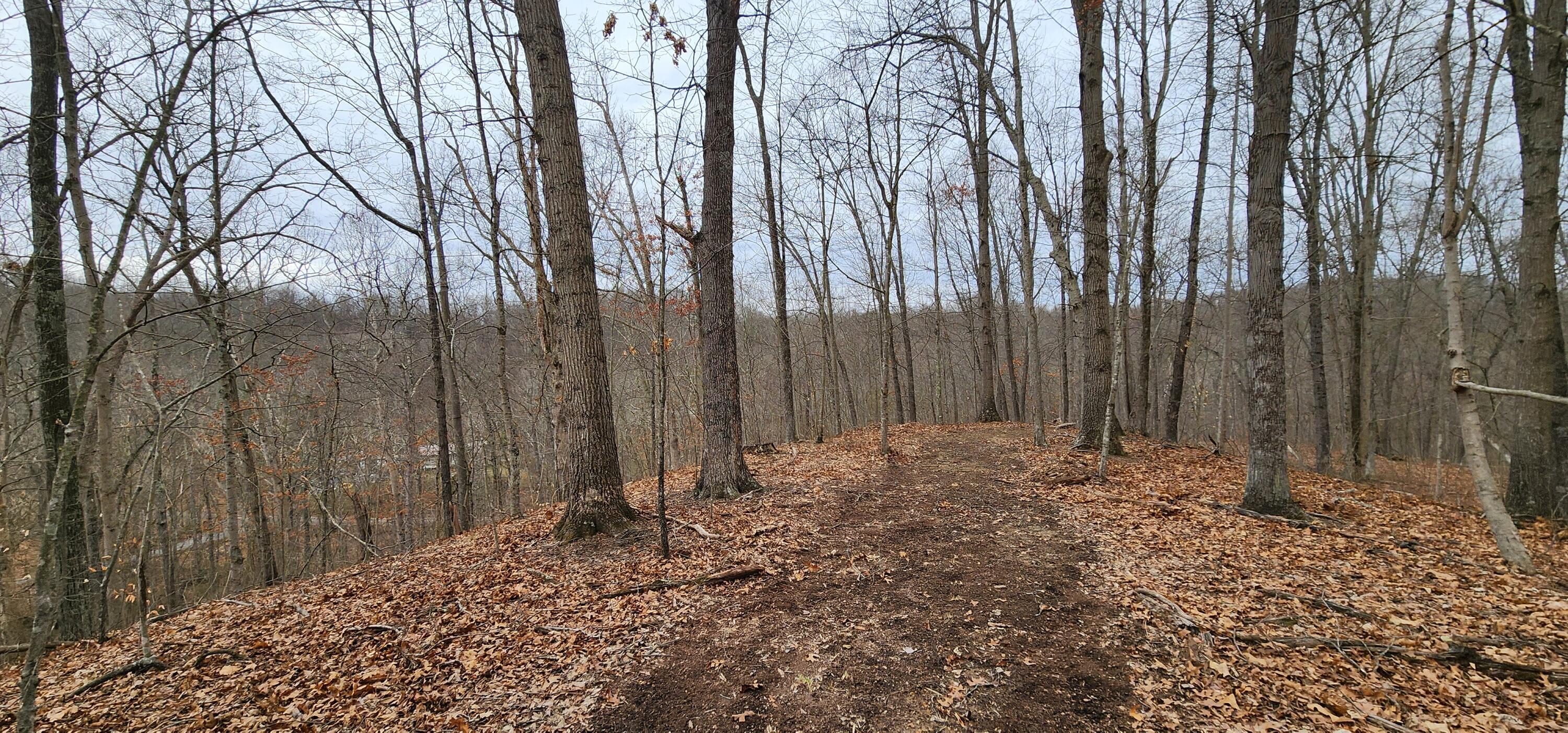 0 Edmunson Road, (tract 6 At Big Timber) Property Photo 47